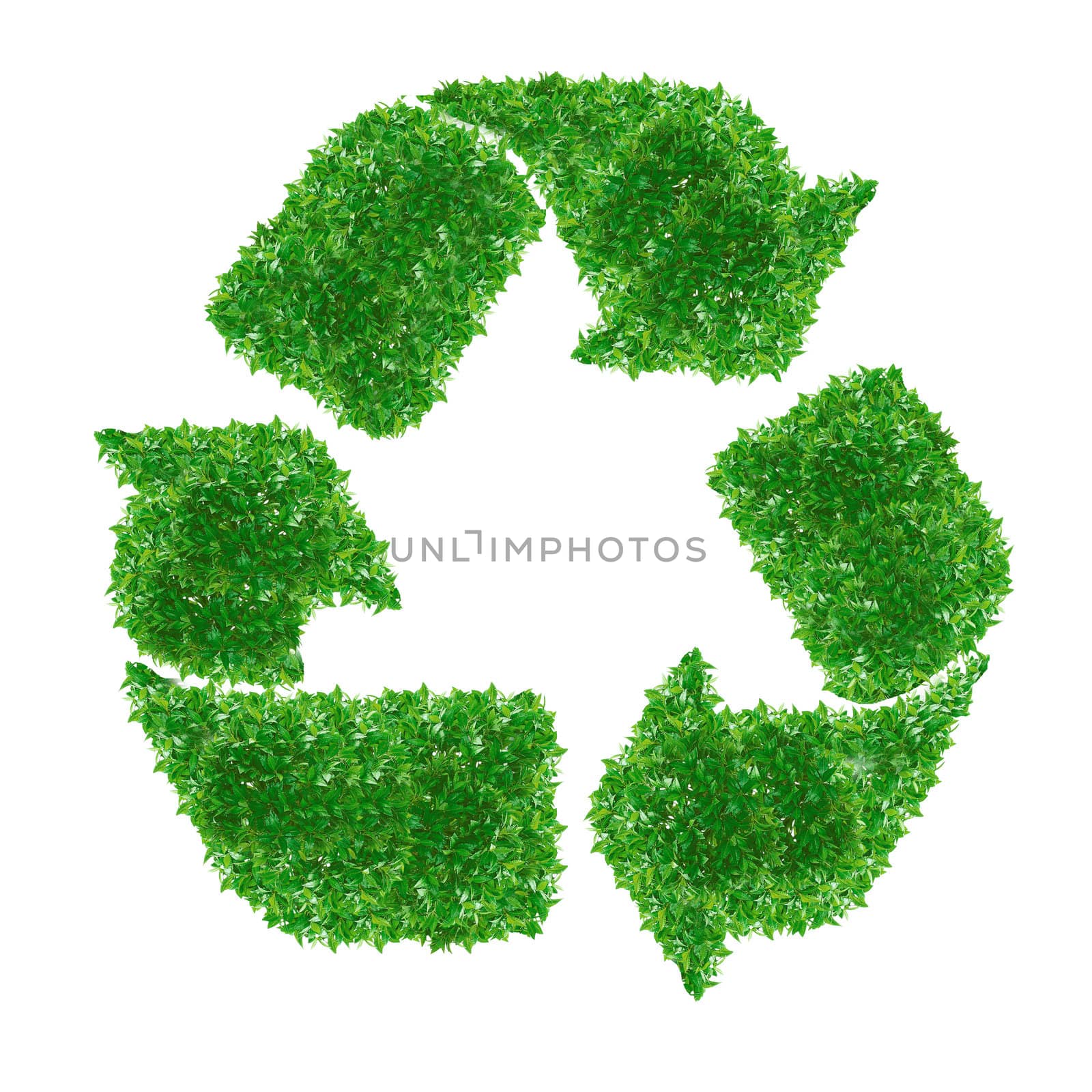 Green recycle Sign made from grass isolated on white.