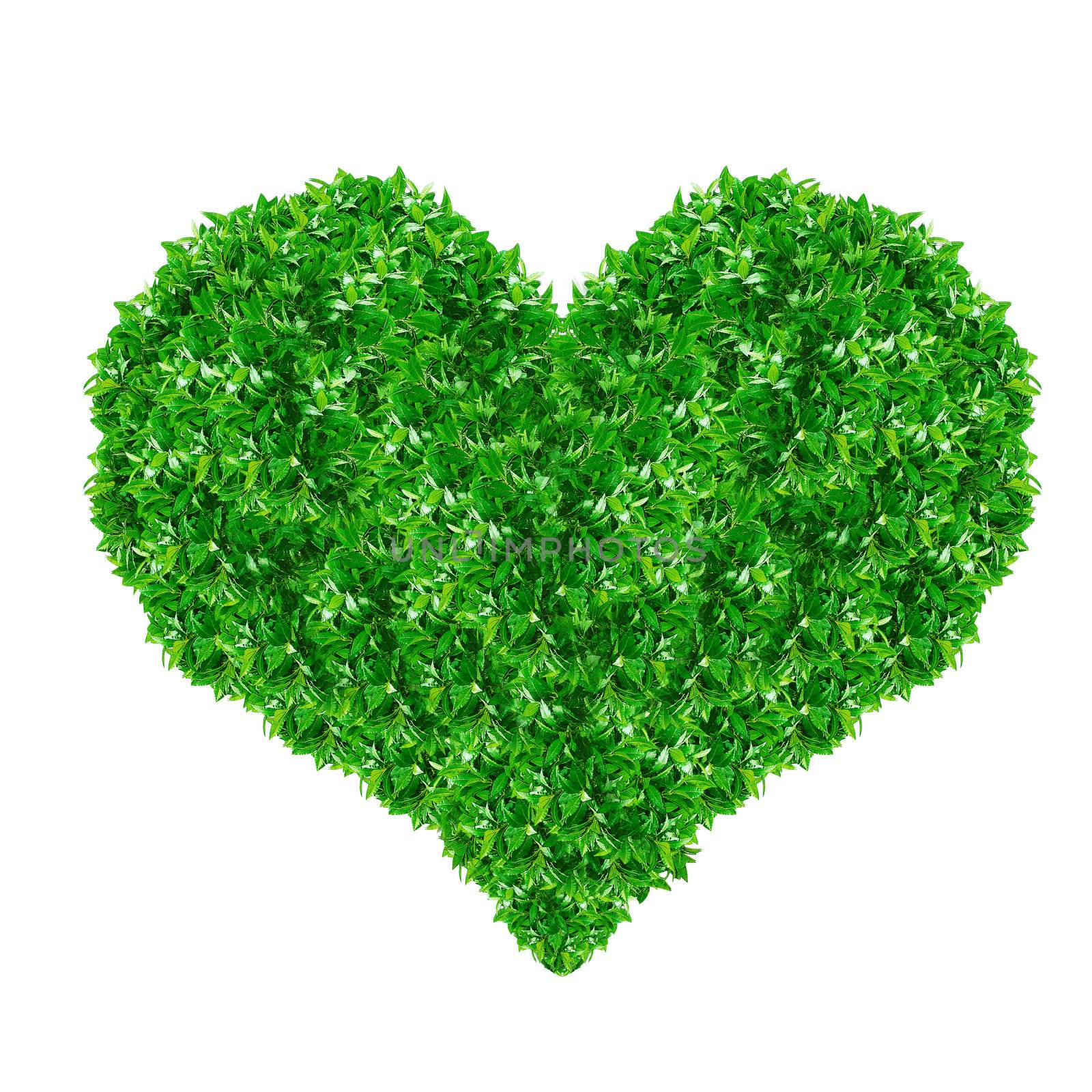 Green Heart Sign made from grass isolated on white.