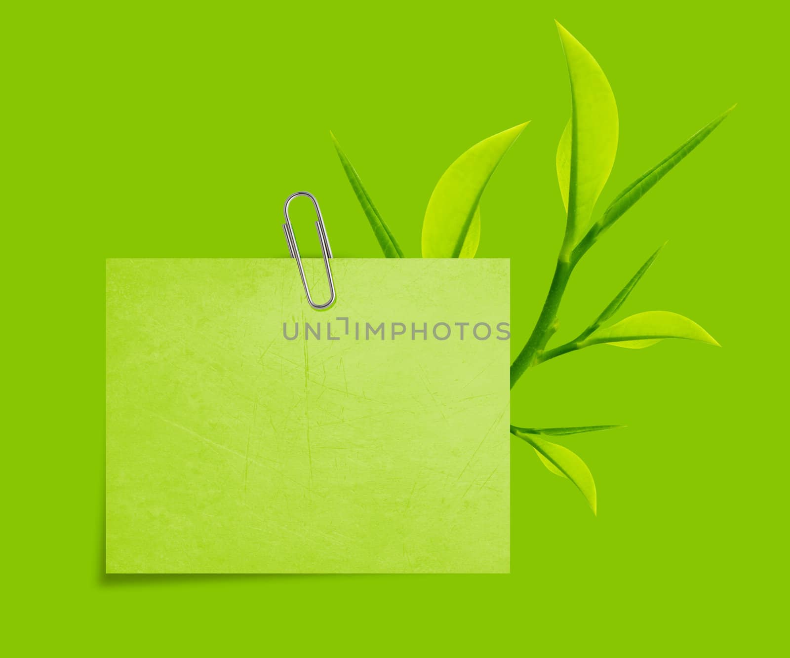 Green Note paper with paper clip and green leaves on green background.