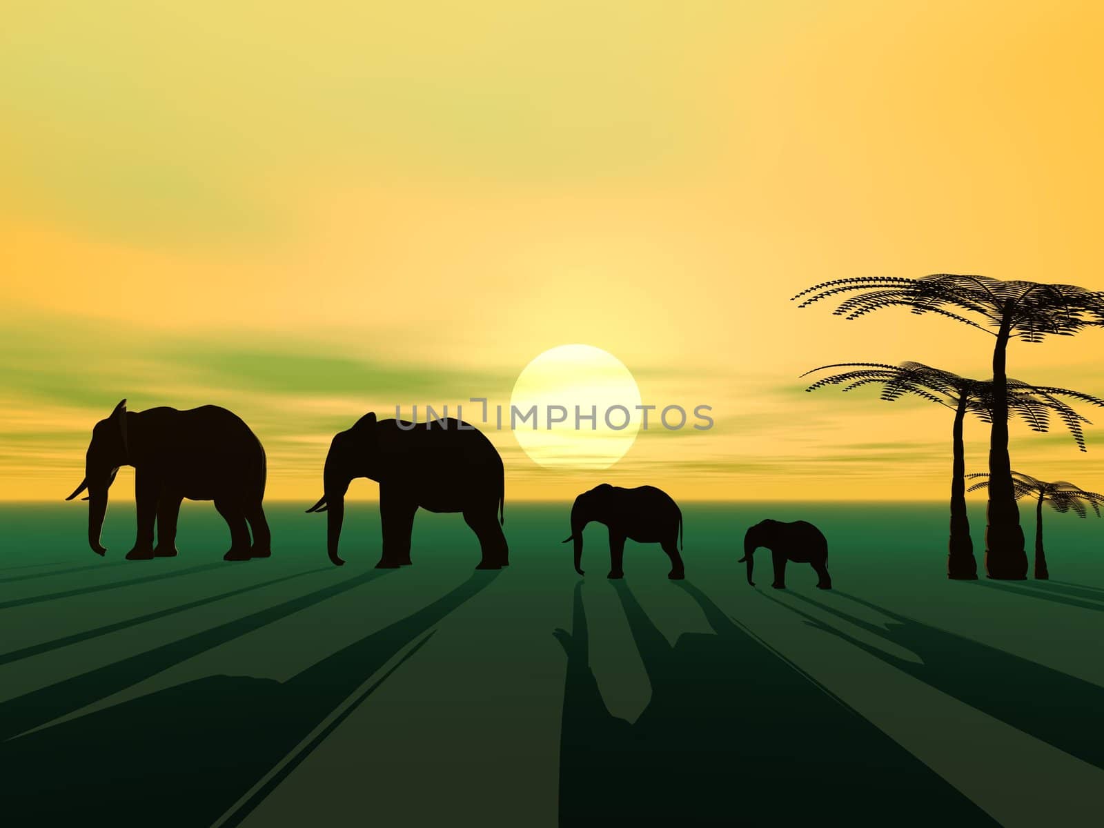 elephants and palms