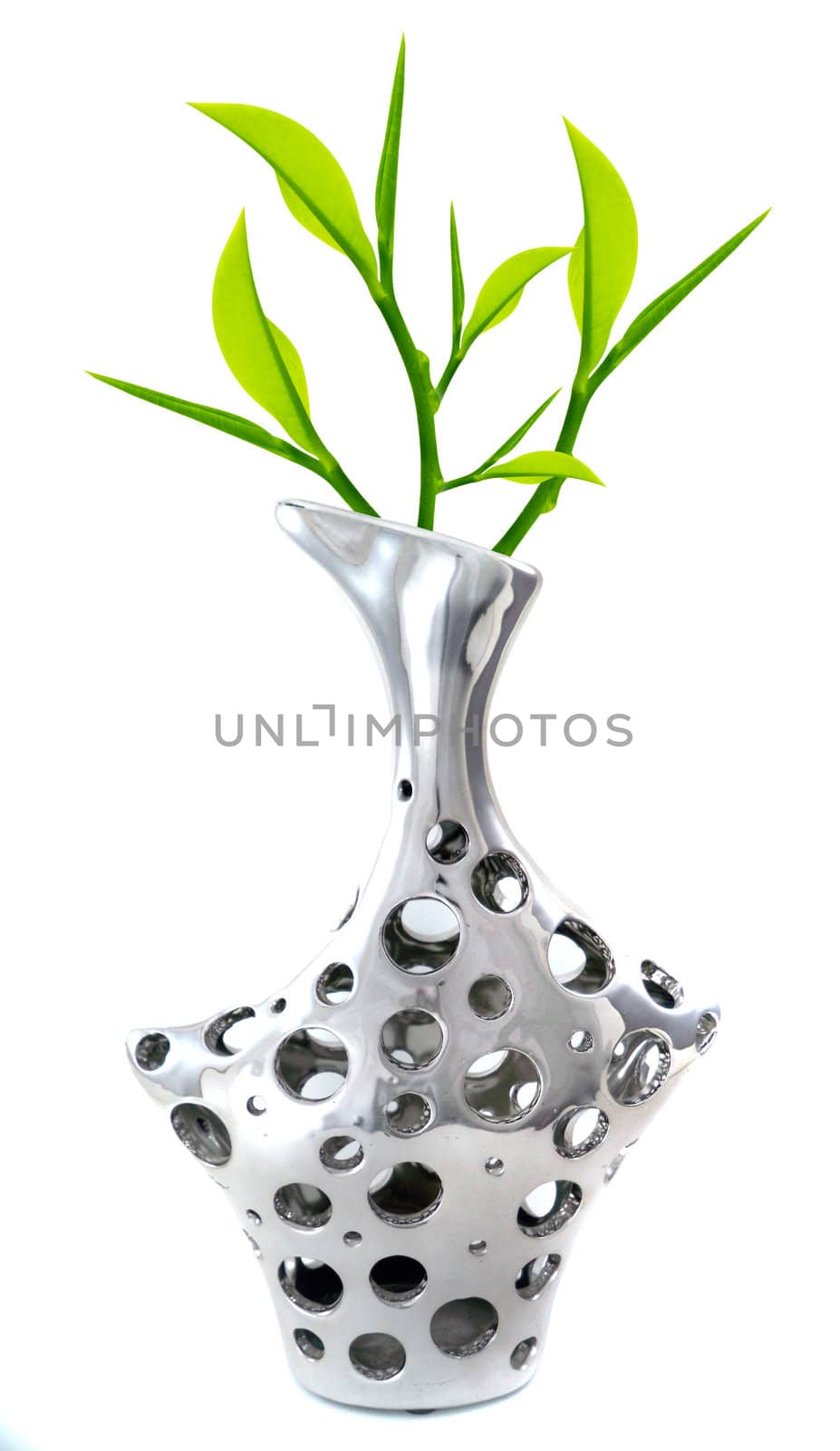 stylish and modern Silver Vase with green twigs isolated on white.