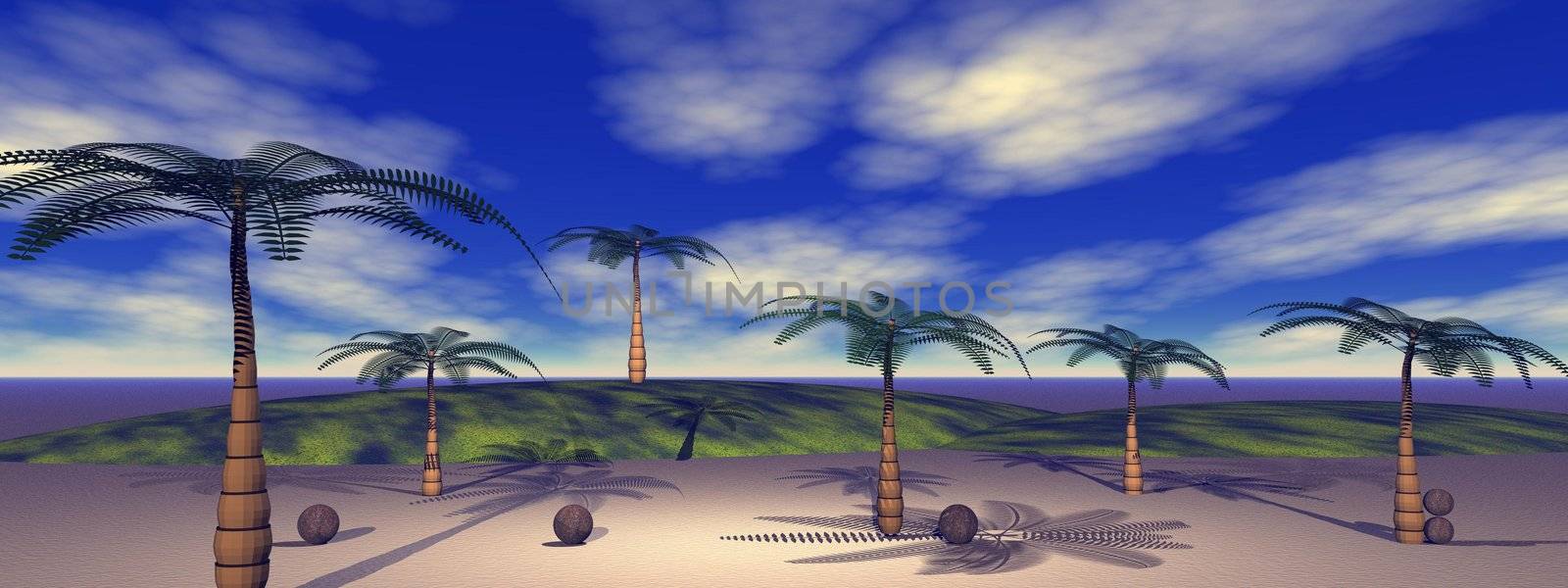 palms and coconut