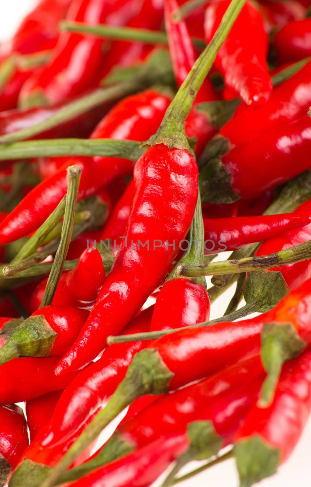 Red chili peppers in a bowl