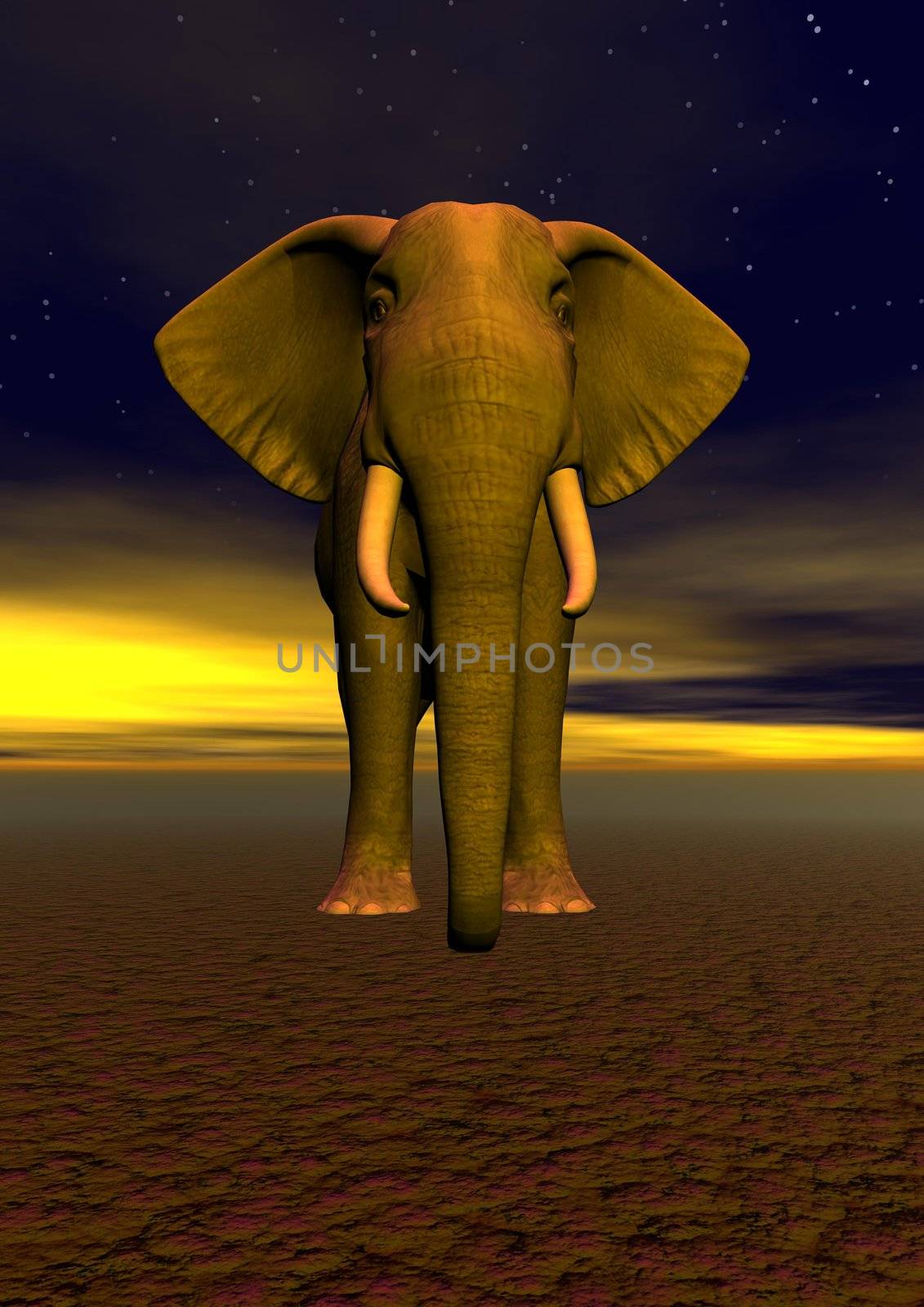 elephant and sky