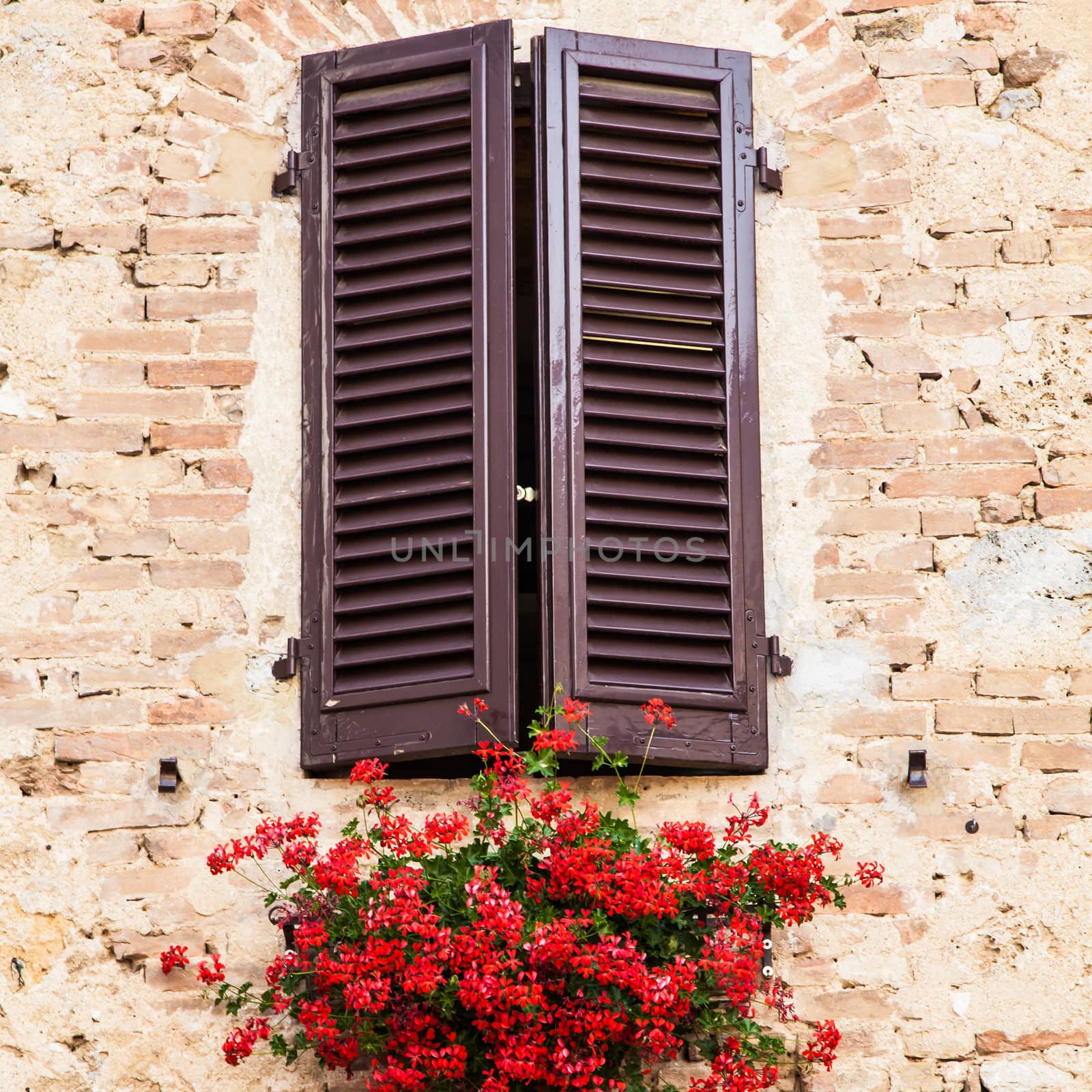 Tuscan windows with red flowers. Old wall in background.
