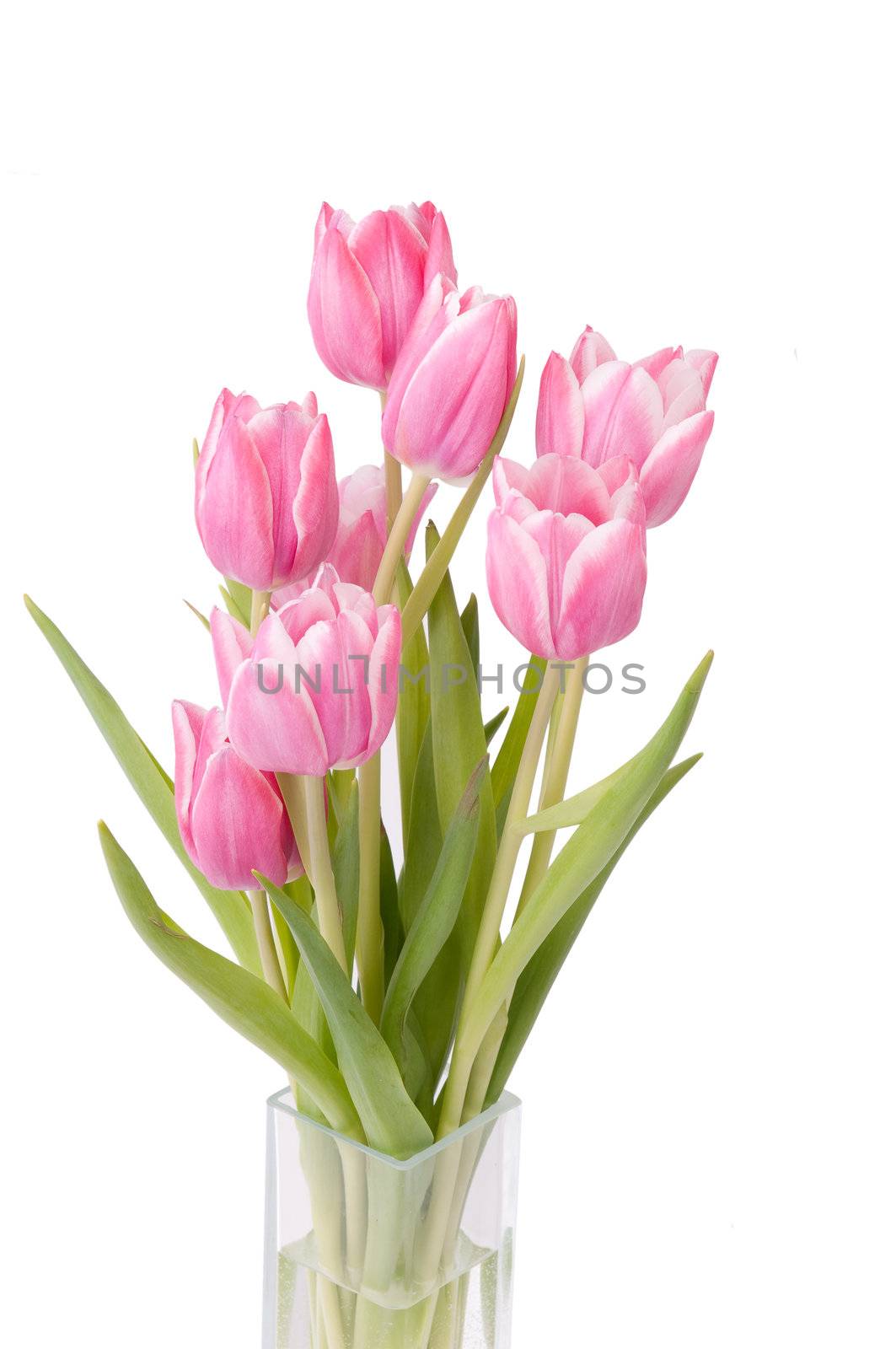 Zoom on a bunch of Tulips in a vase