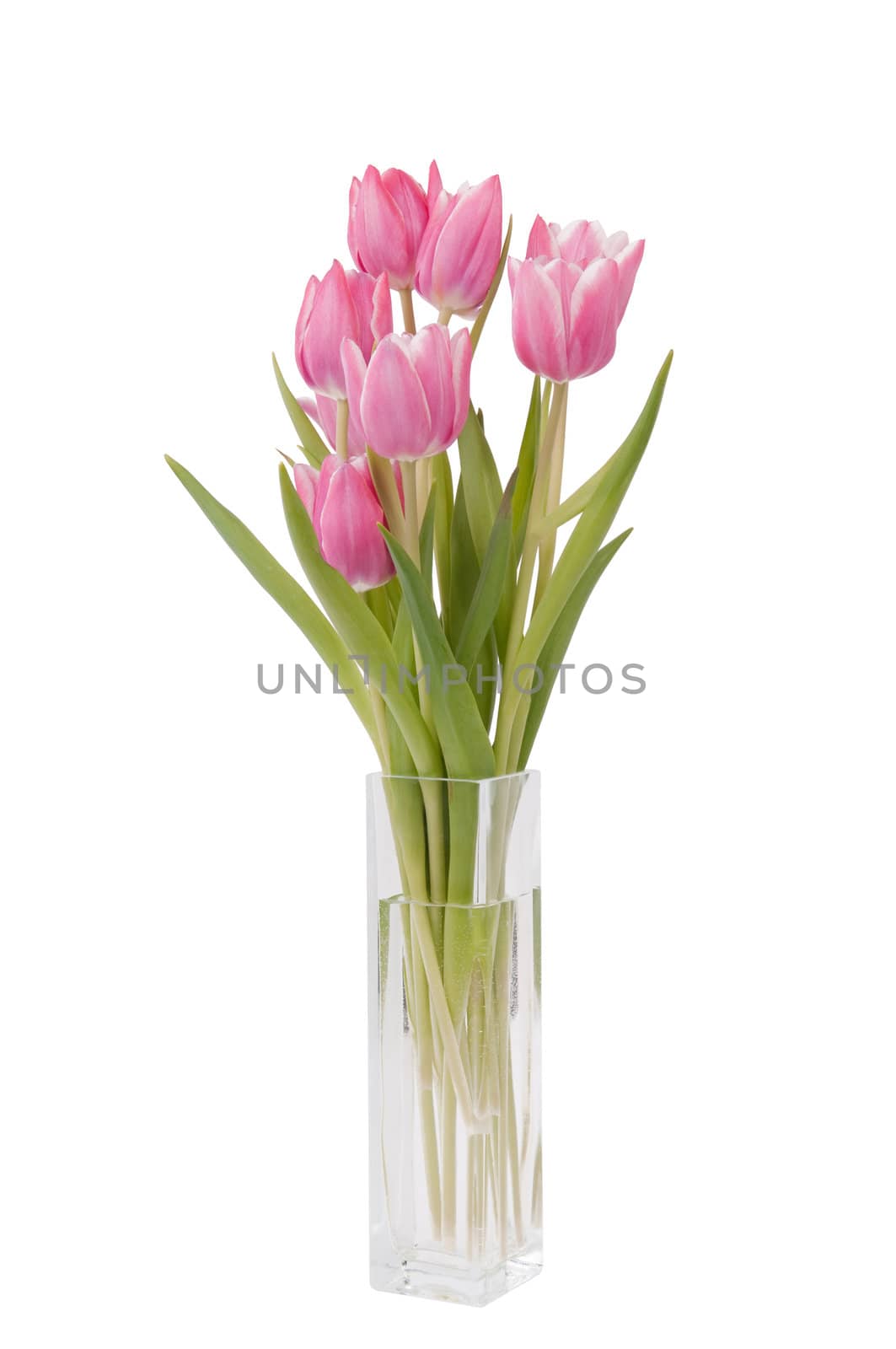 bunch of Tulips in a vase by bigmagic