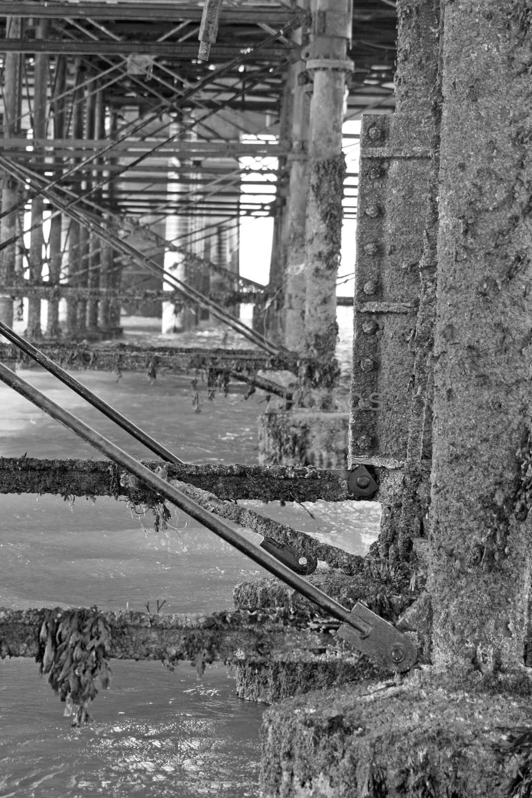 cromer pier