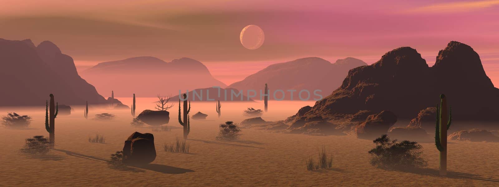 Desert landscape by morning light with moon, fog, cactus, plants and ,ountains