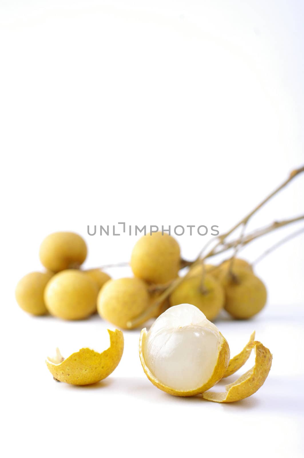 Longan fruit on white background by pixbox77