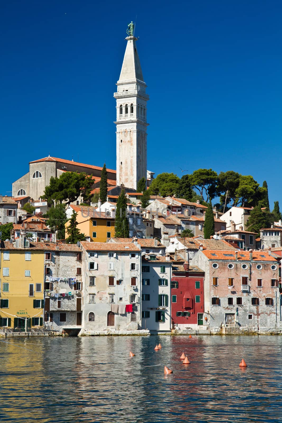 Old town of Rovinj, Croatia. Istria touristic attraction 