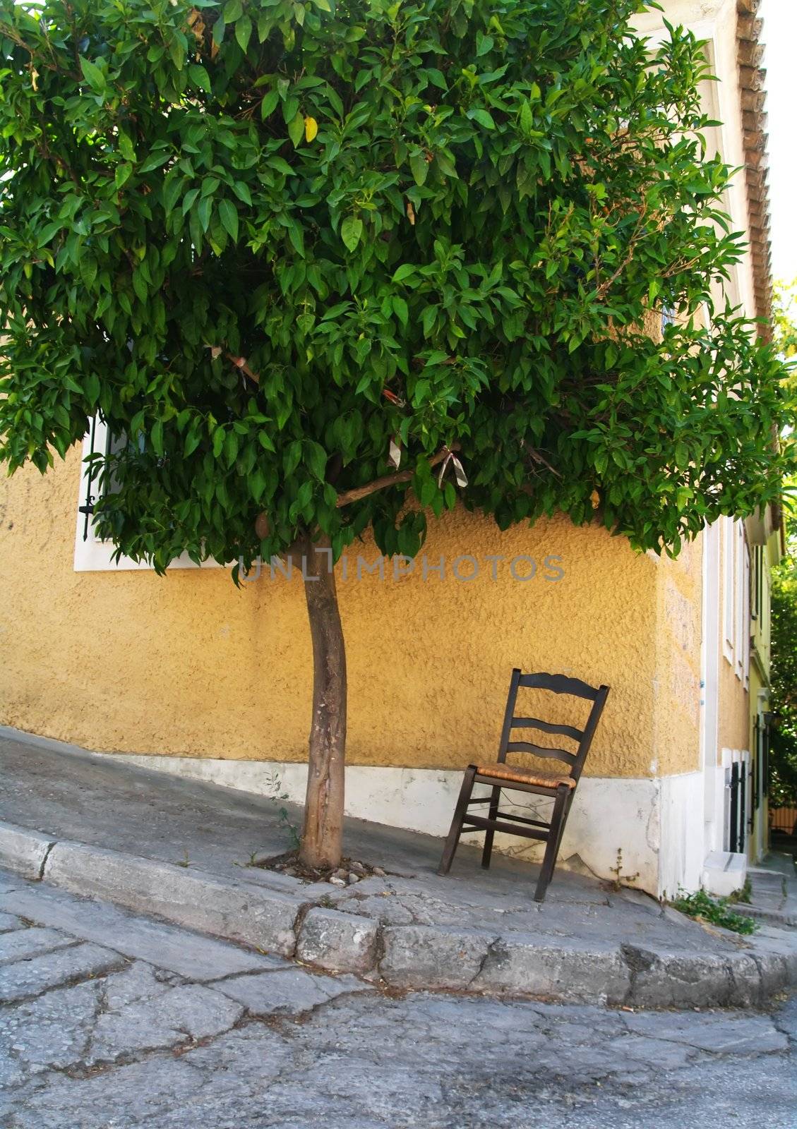 Lonely chair under a tree in central Athens by baggiovara
