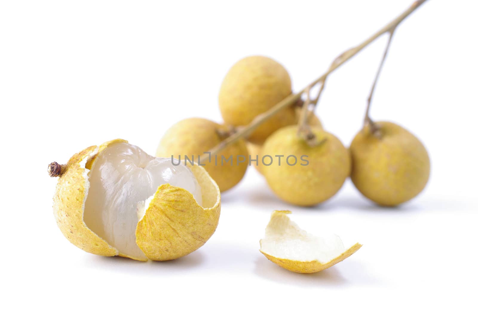 Fresh longan on the white background 