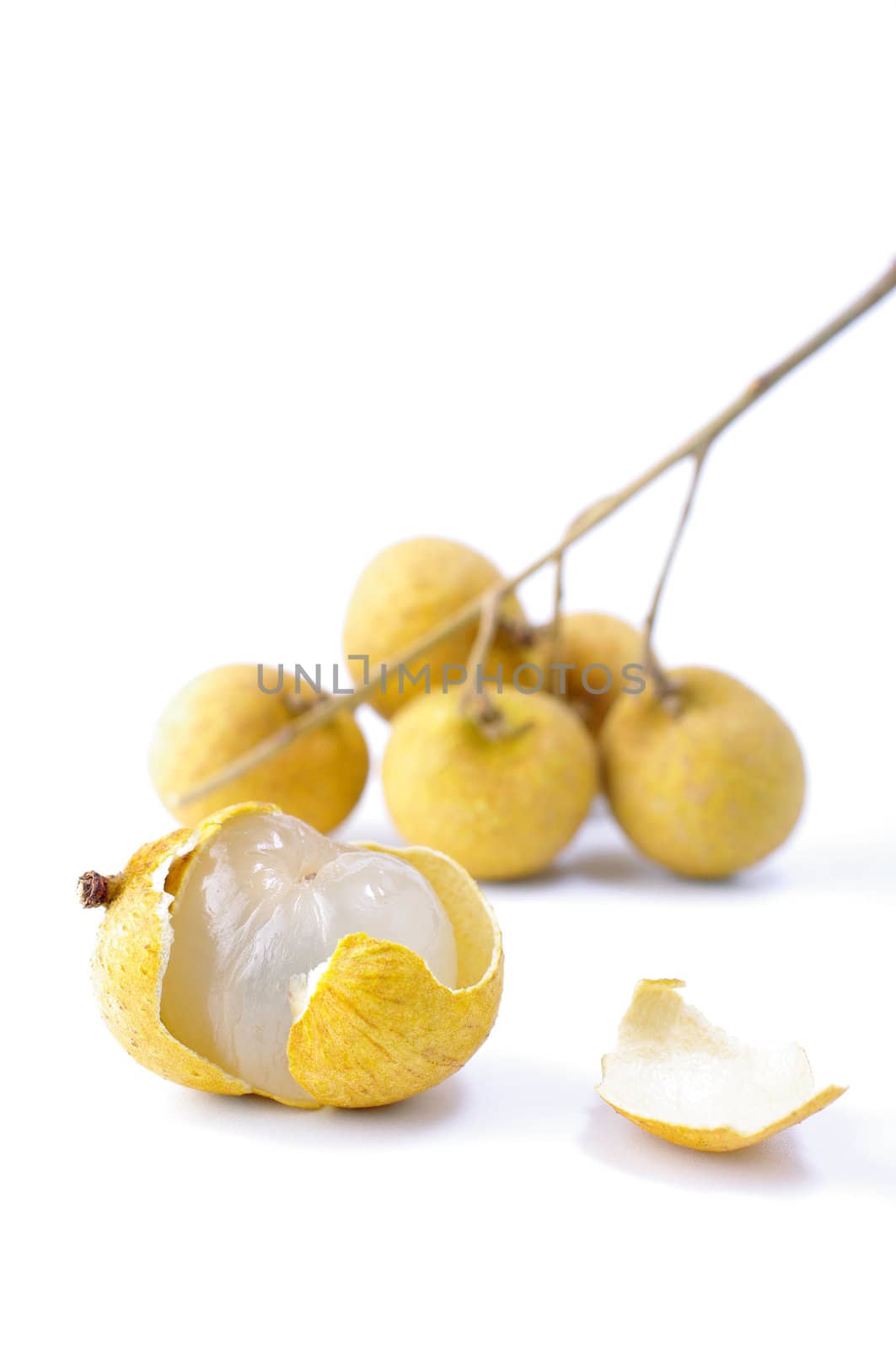 Fresh longan on the white background 