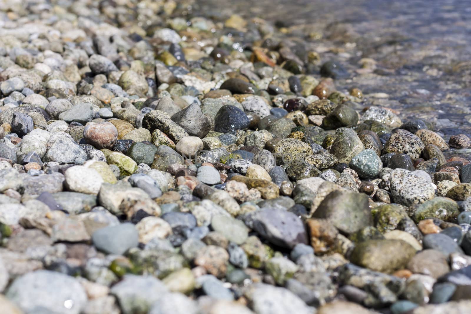 pebble on a beach by aleksan
