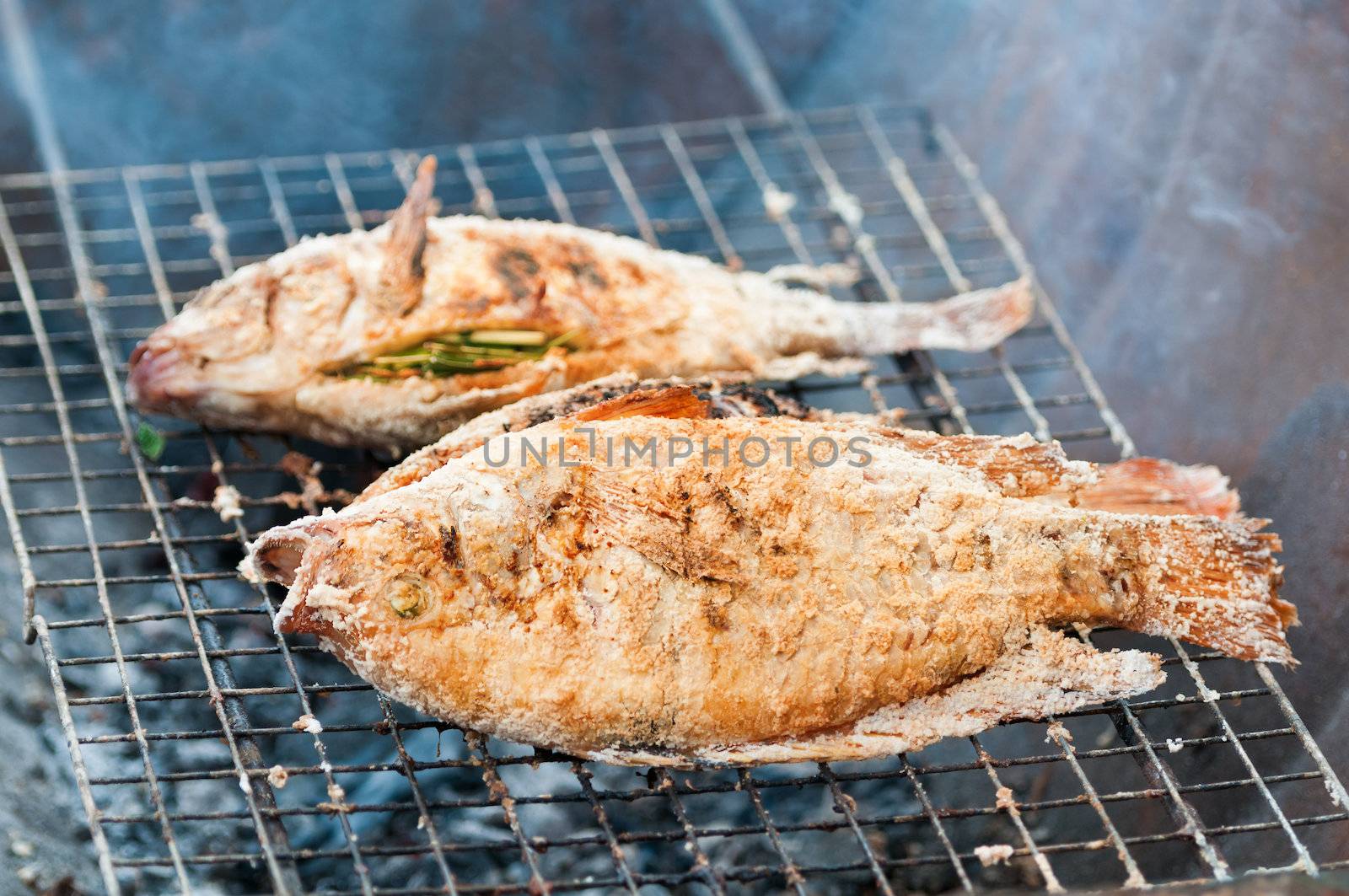 Two grilling sea fishes on campfire grate
