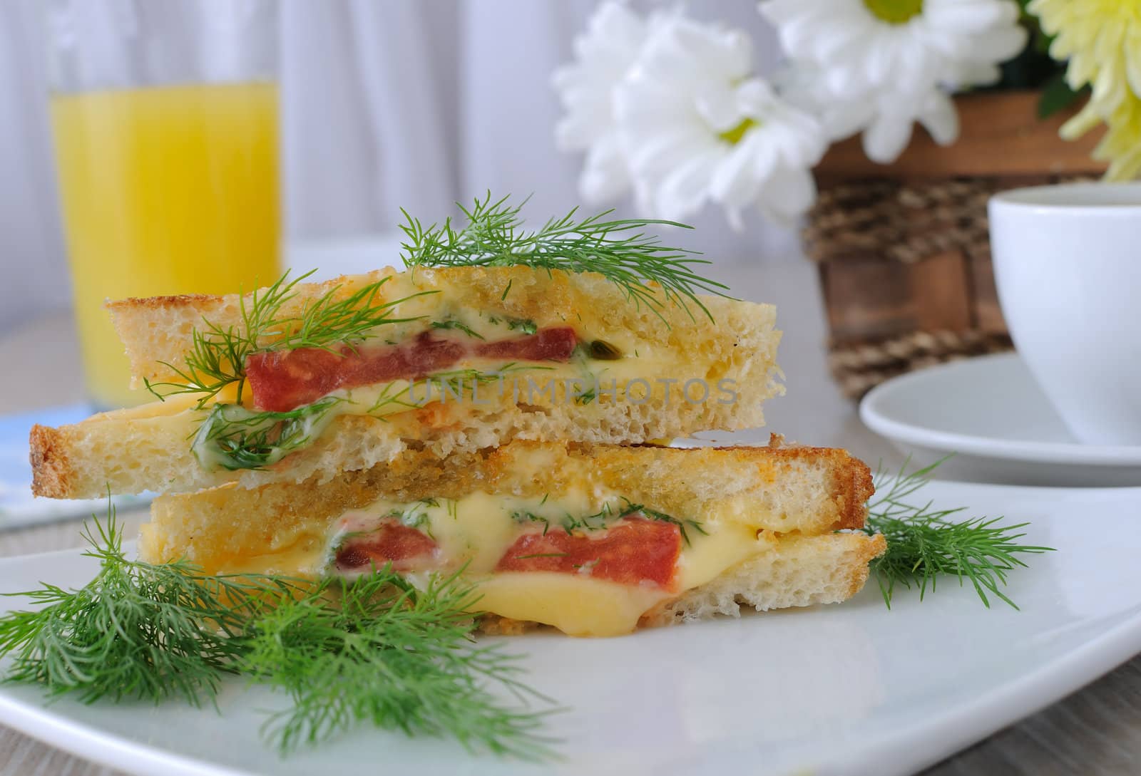 Sandwich with tomato and cheese on a plate with dill