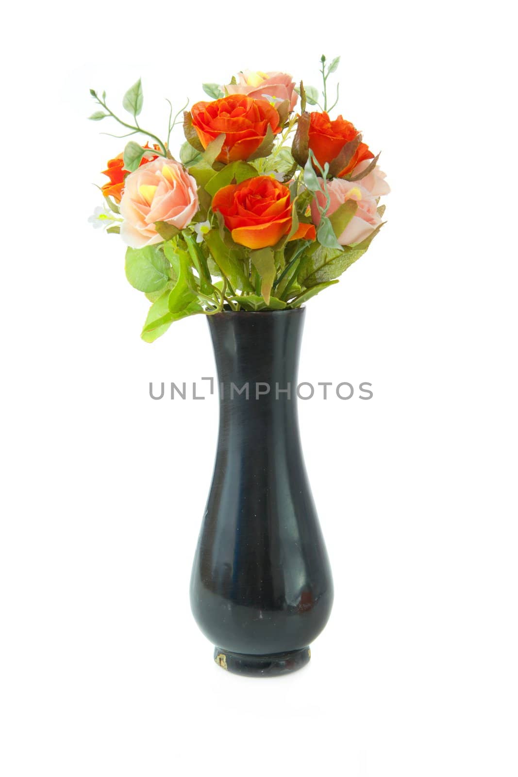 black vase flower isolated on white background