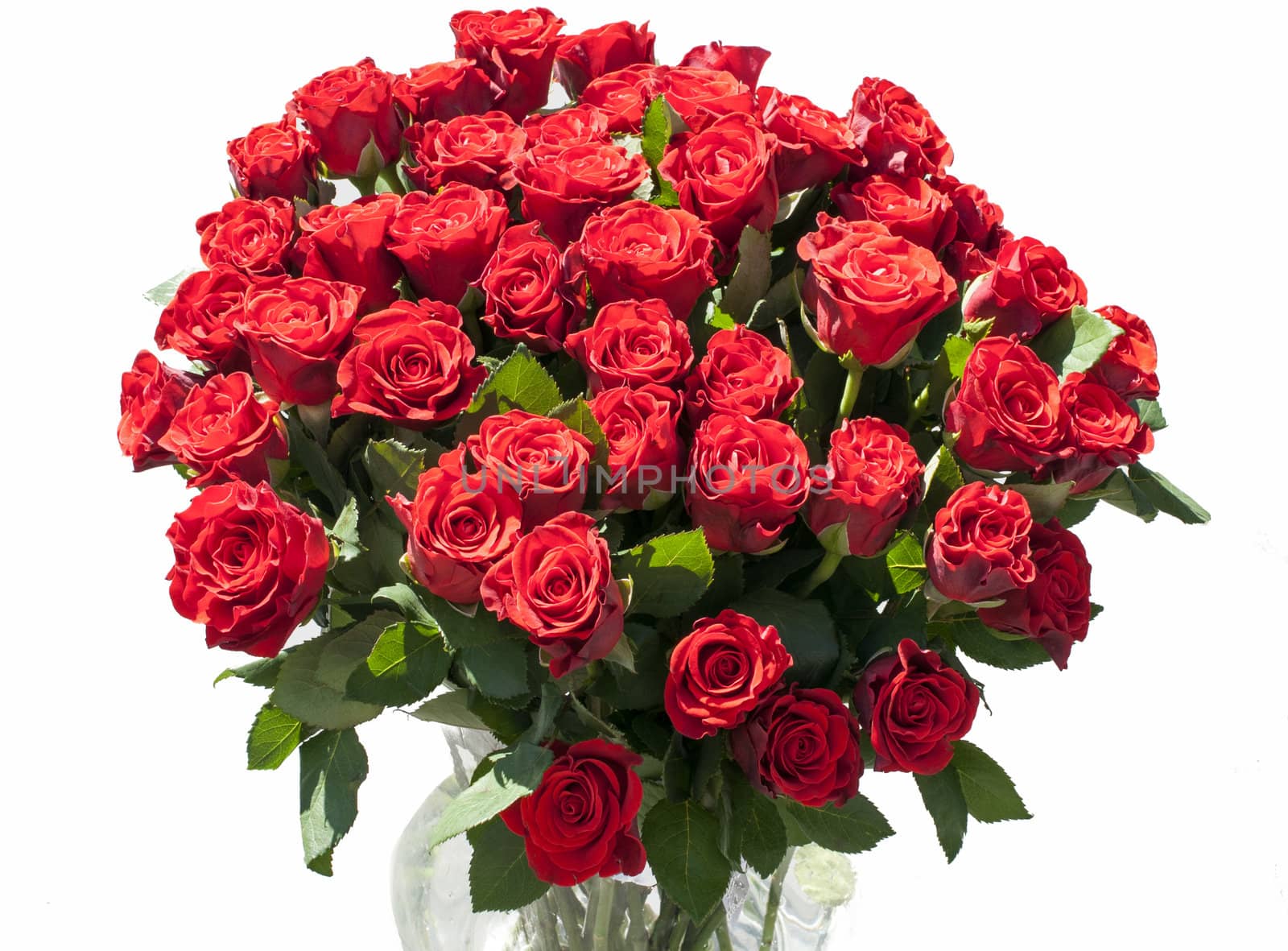 vase with red roses with sunlight on the flowers