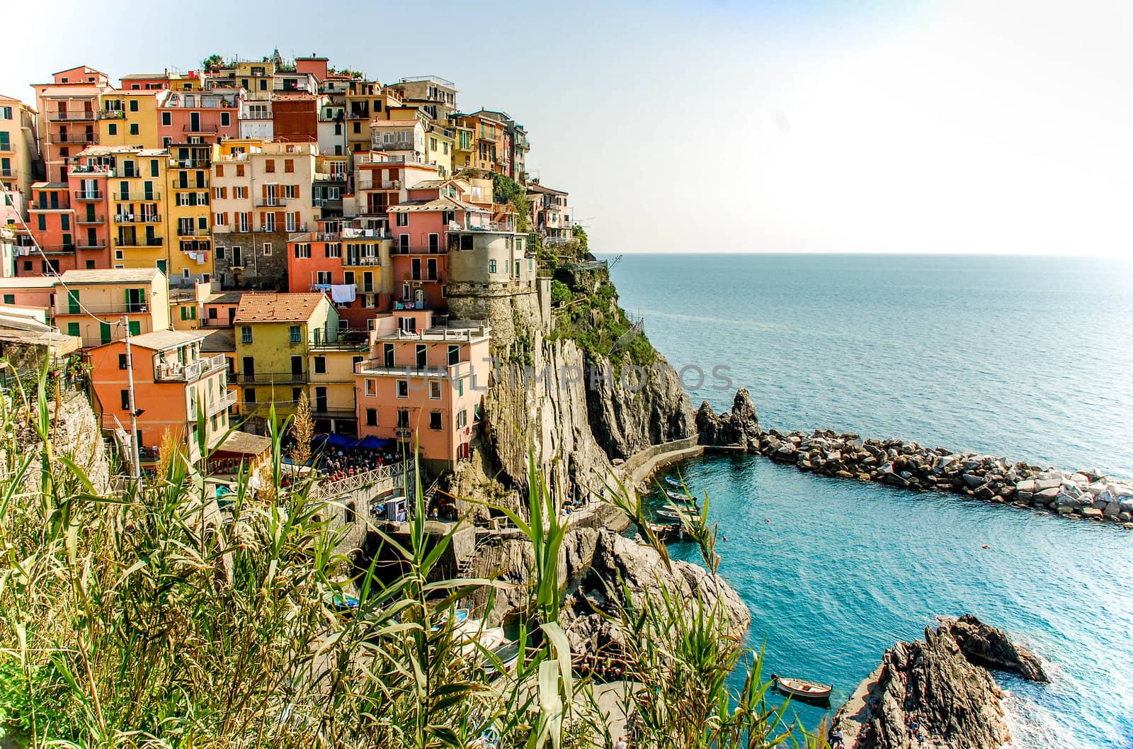 View of Manarola