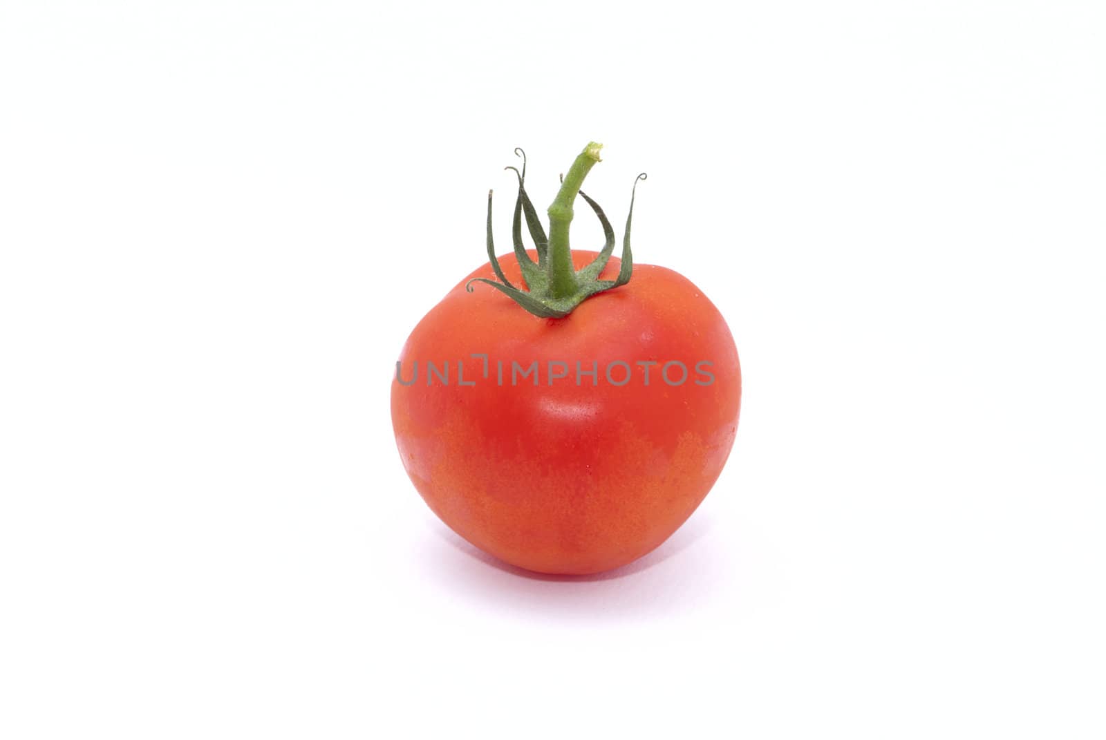 Red tomatoe on the white background