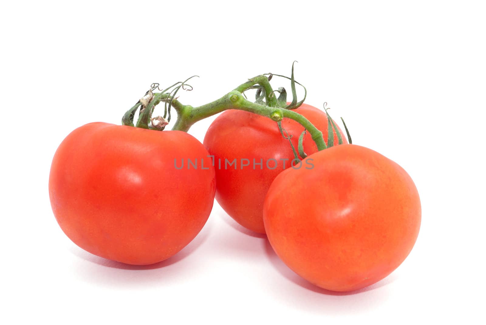 Three red tomatoes on the white background