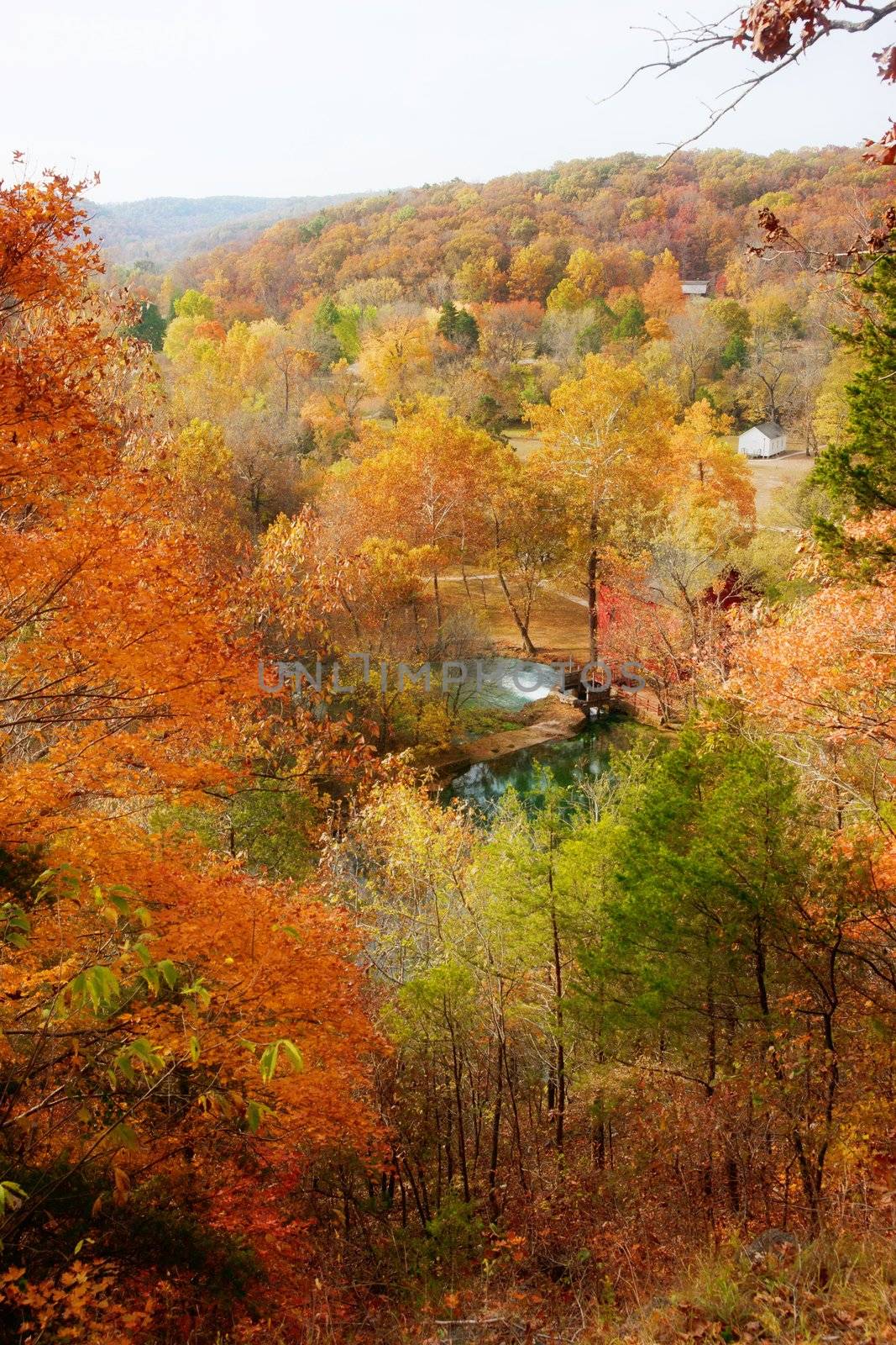 looking at the alley spring mill house  missouri in fall