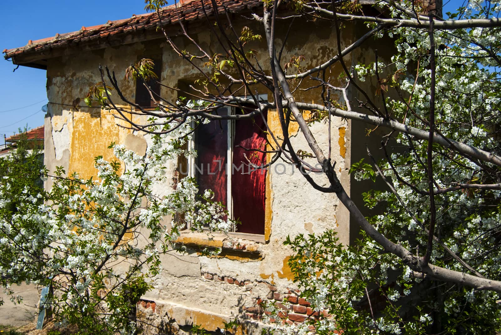 Old abandoned house in spring sunny day