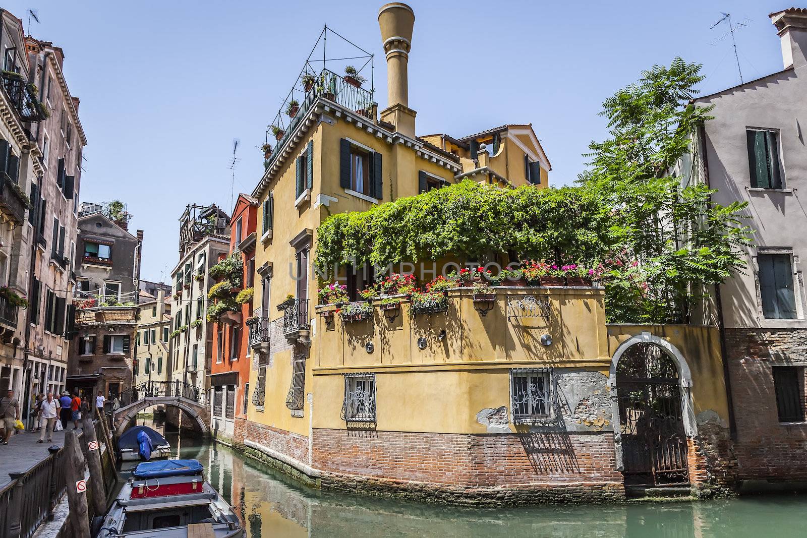Venice Italy by magann