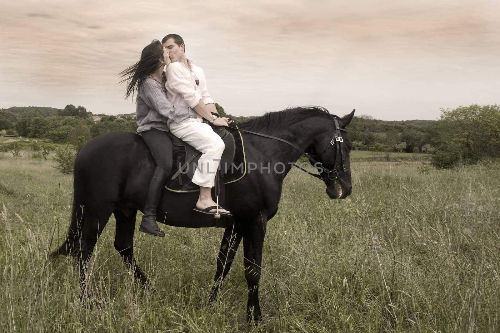 beautiful black stallion in a field with young couple, vintage effect