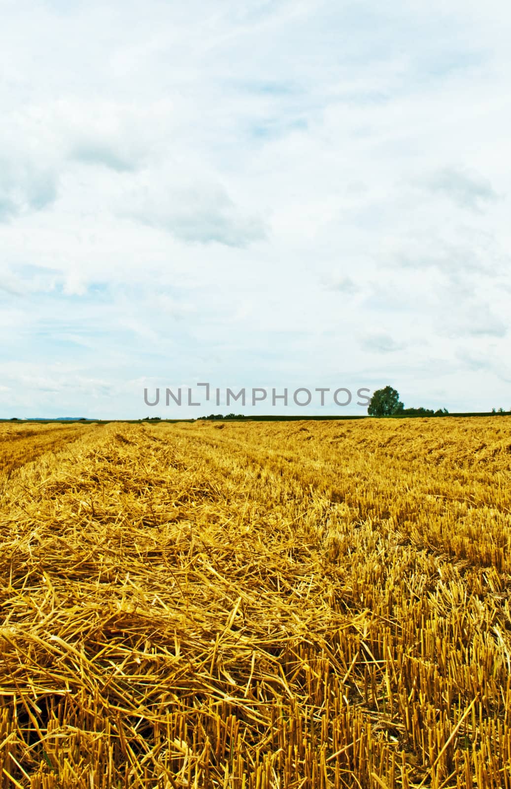 stubble field with panoramic view by Jochen