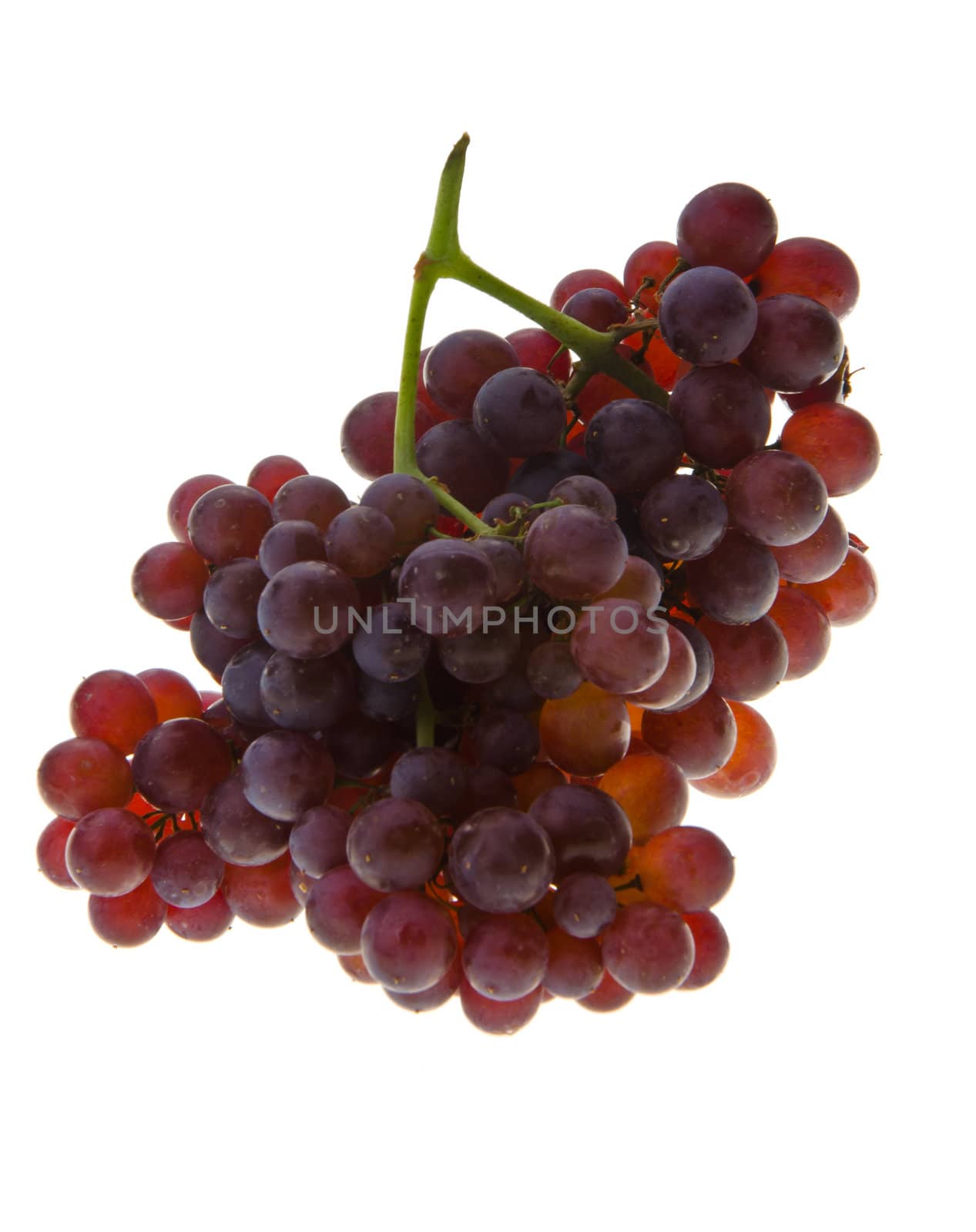 grapes. grapes on background. by heinteh