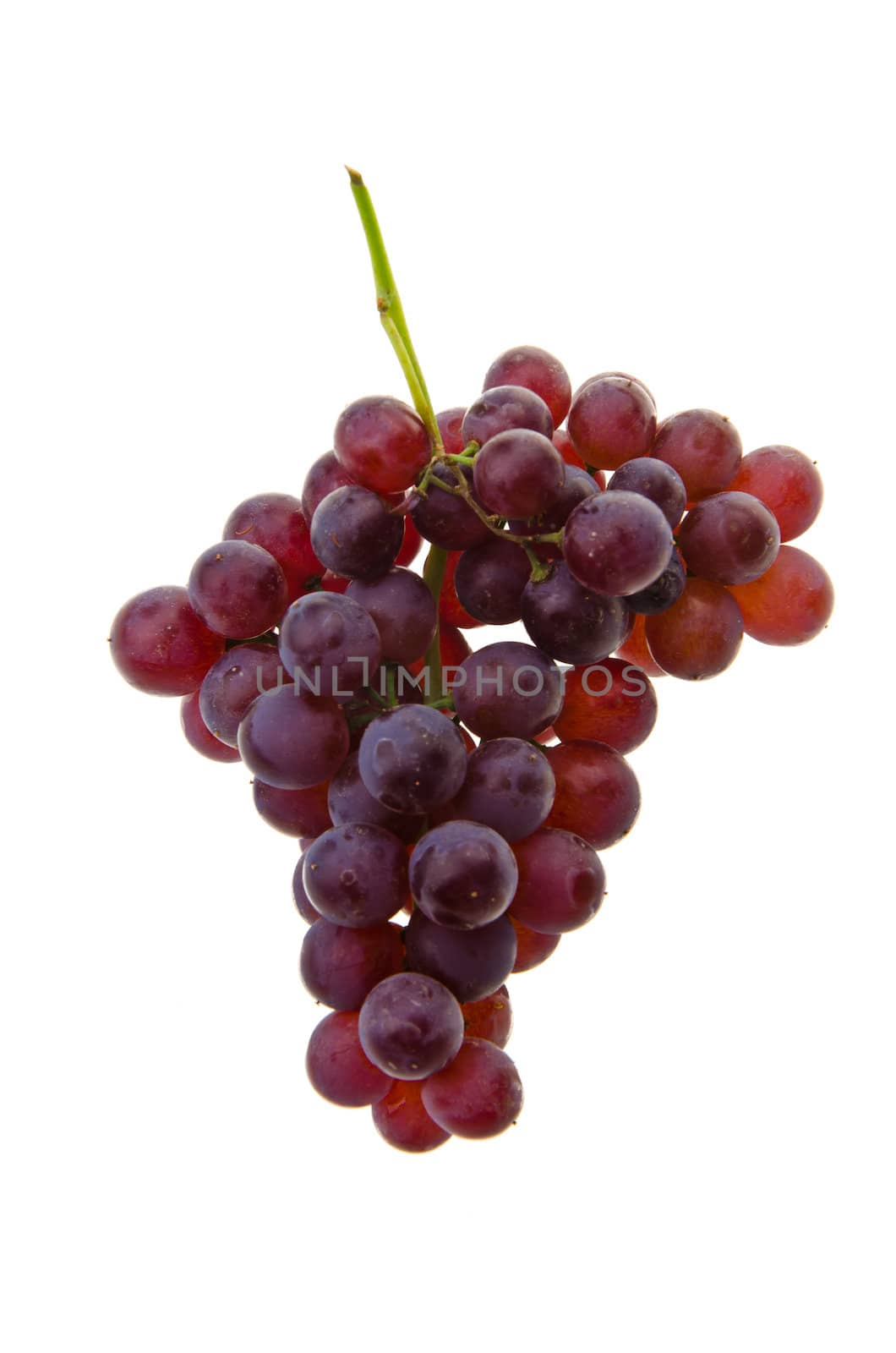 grapes. grapes on background. by heinteh