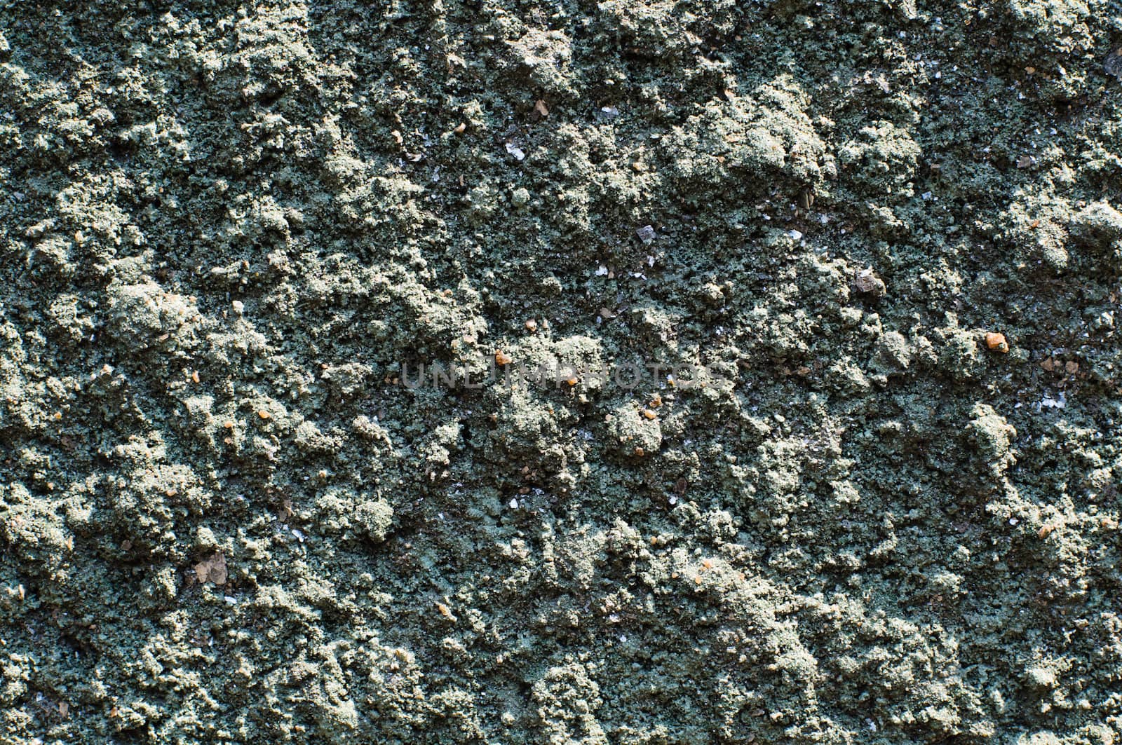 Close up of plaster texture on the wall