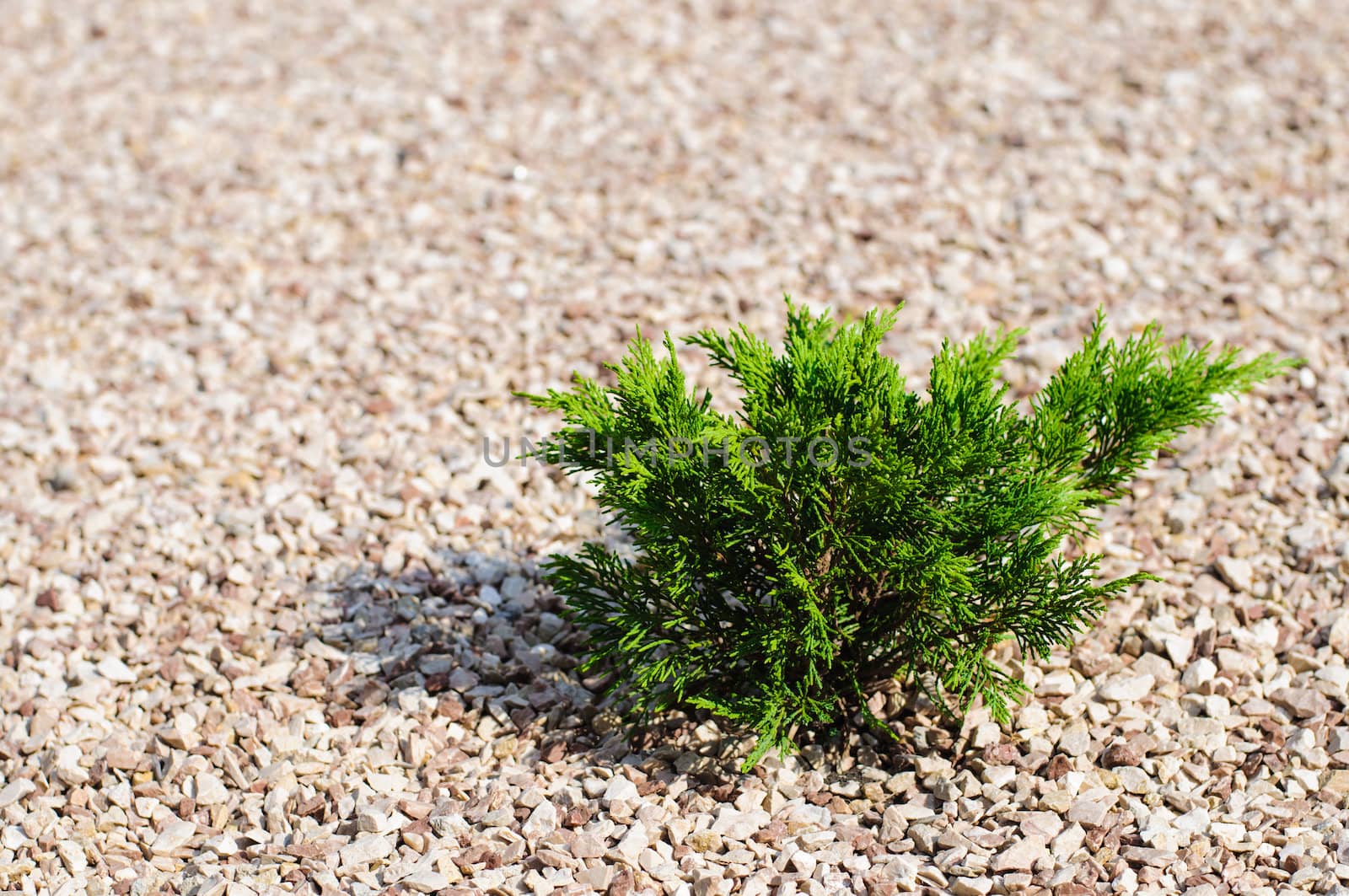 High resolution gravel texture with small details