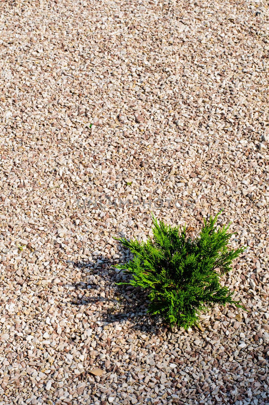 High resolution gravel texture with small details