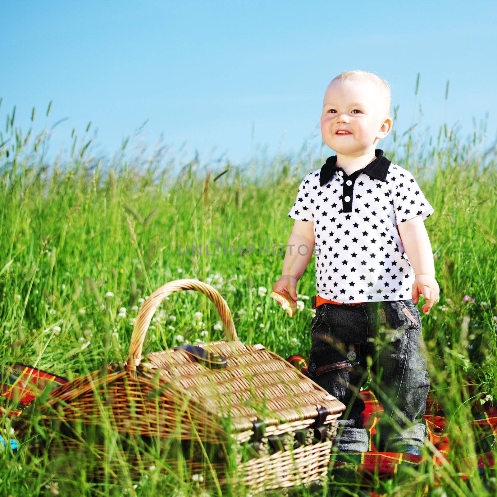  picnic on green grass boy and basket