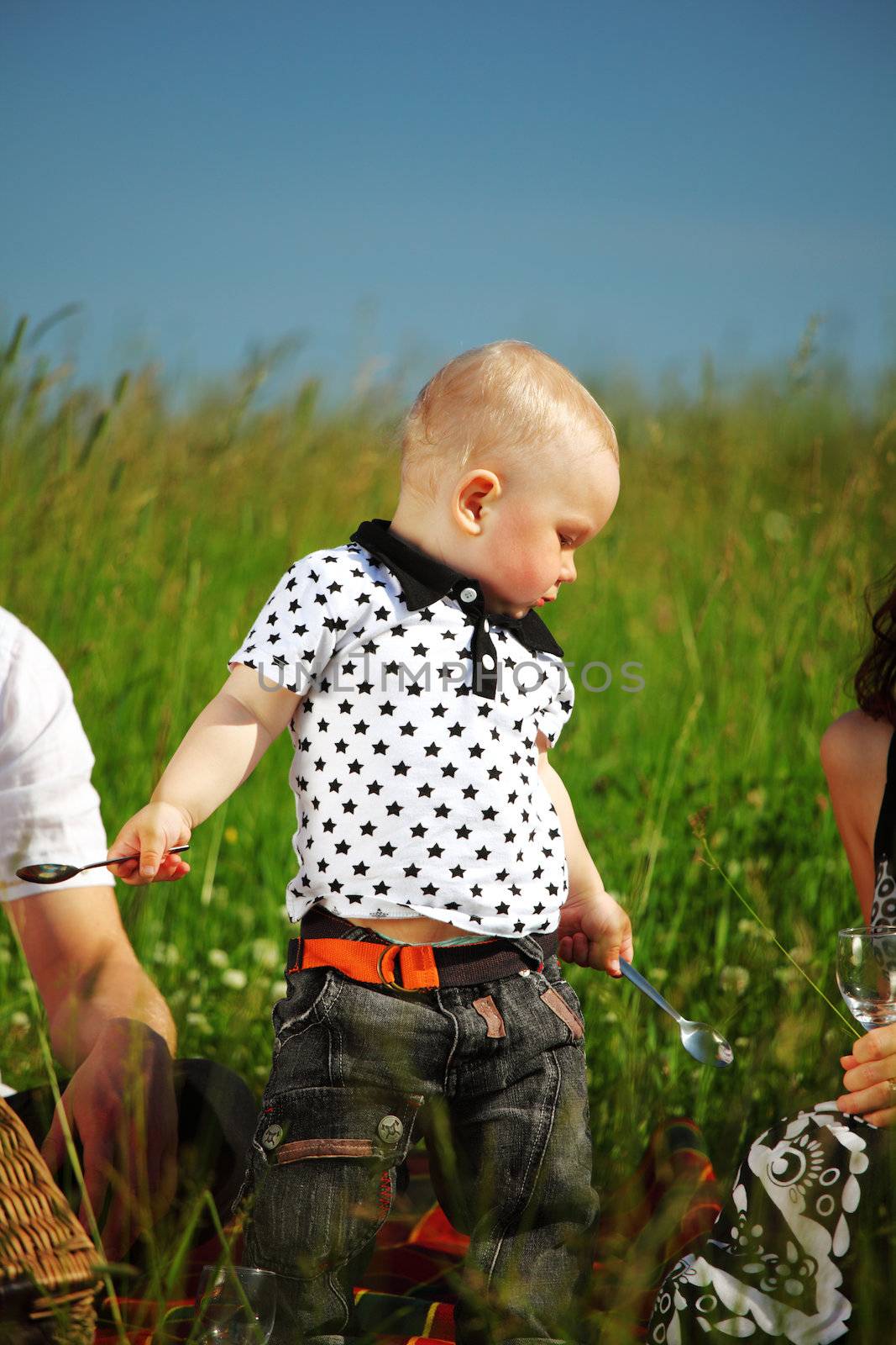  happy family on picnic in green grass