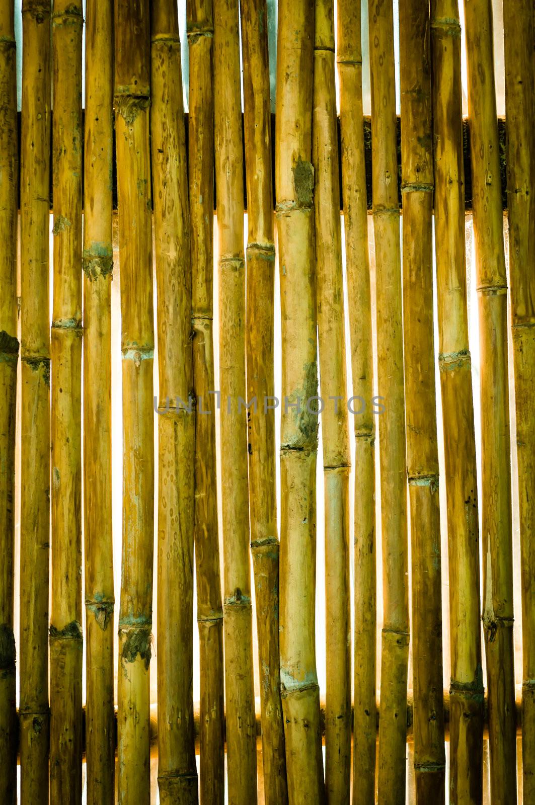 Texture of old wall bamboo in white background