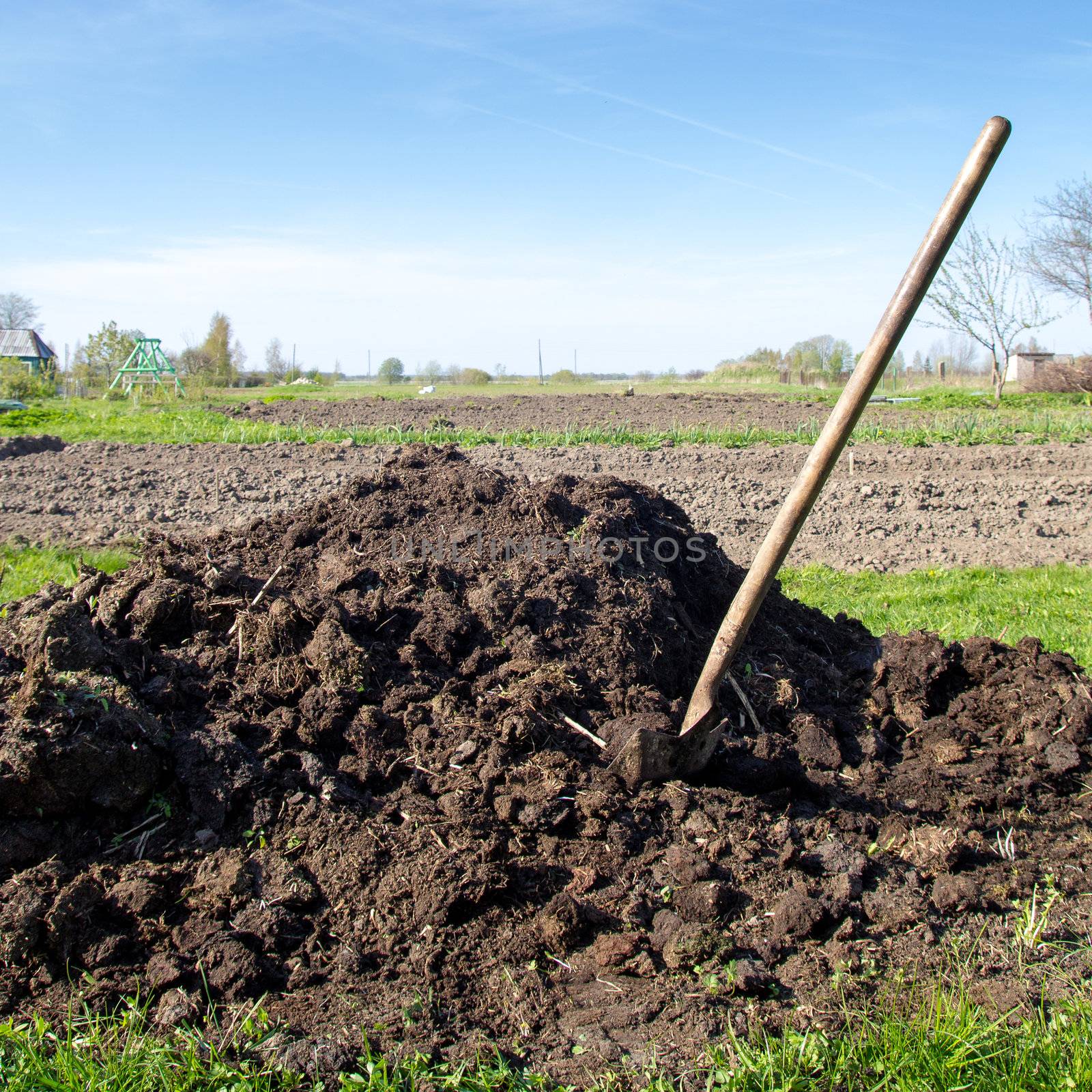pile of compost near vegetable garden