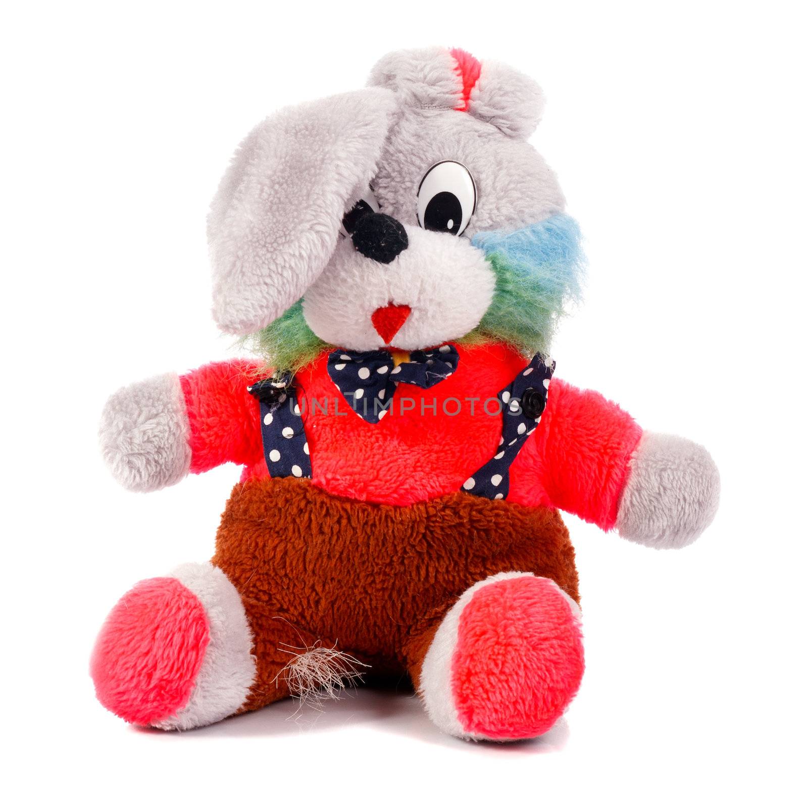 Old soft toy on white background