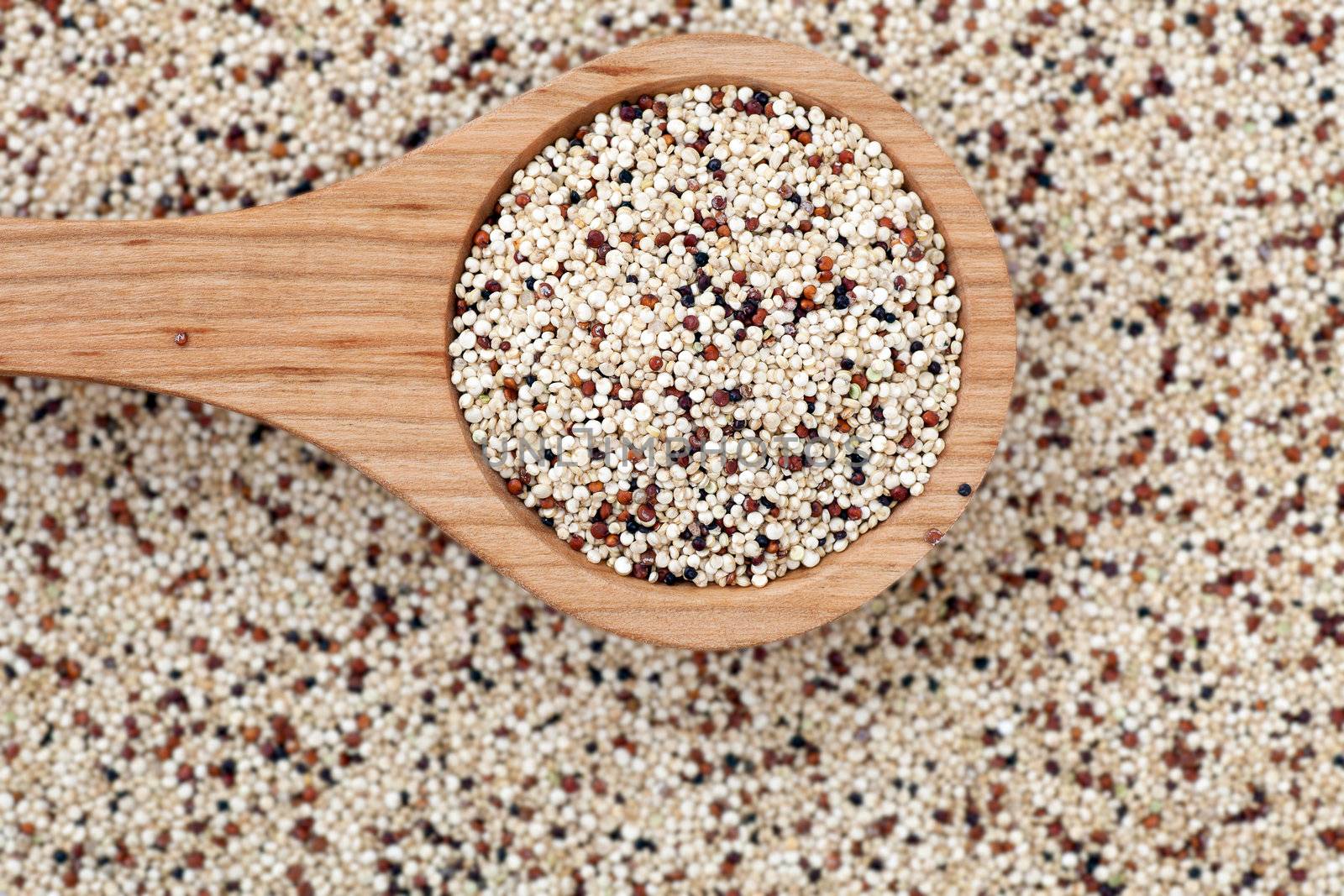 Mixed quinoa seeds with  a wooden spoon.