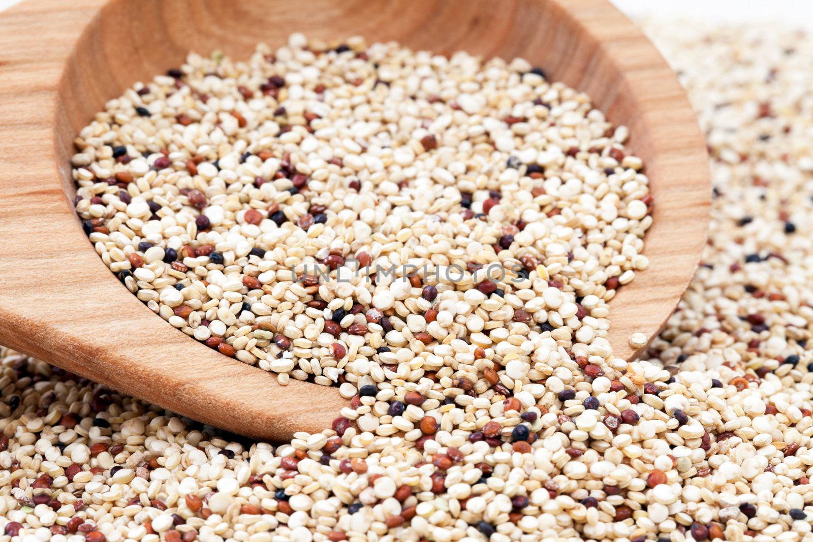 Mixed Quinoa seeds spilling from a wooden spoon.
