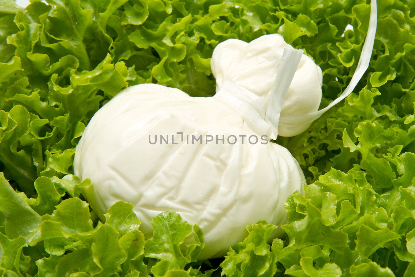 Burrata on salad