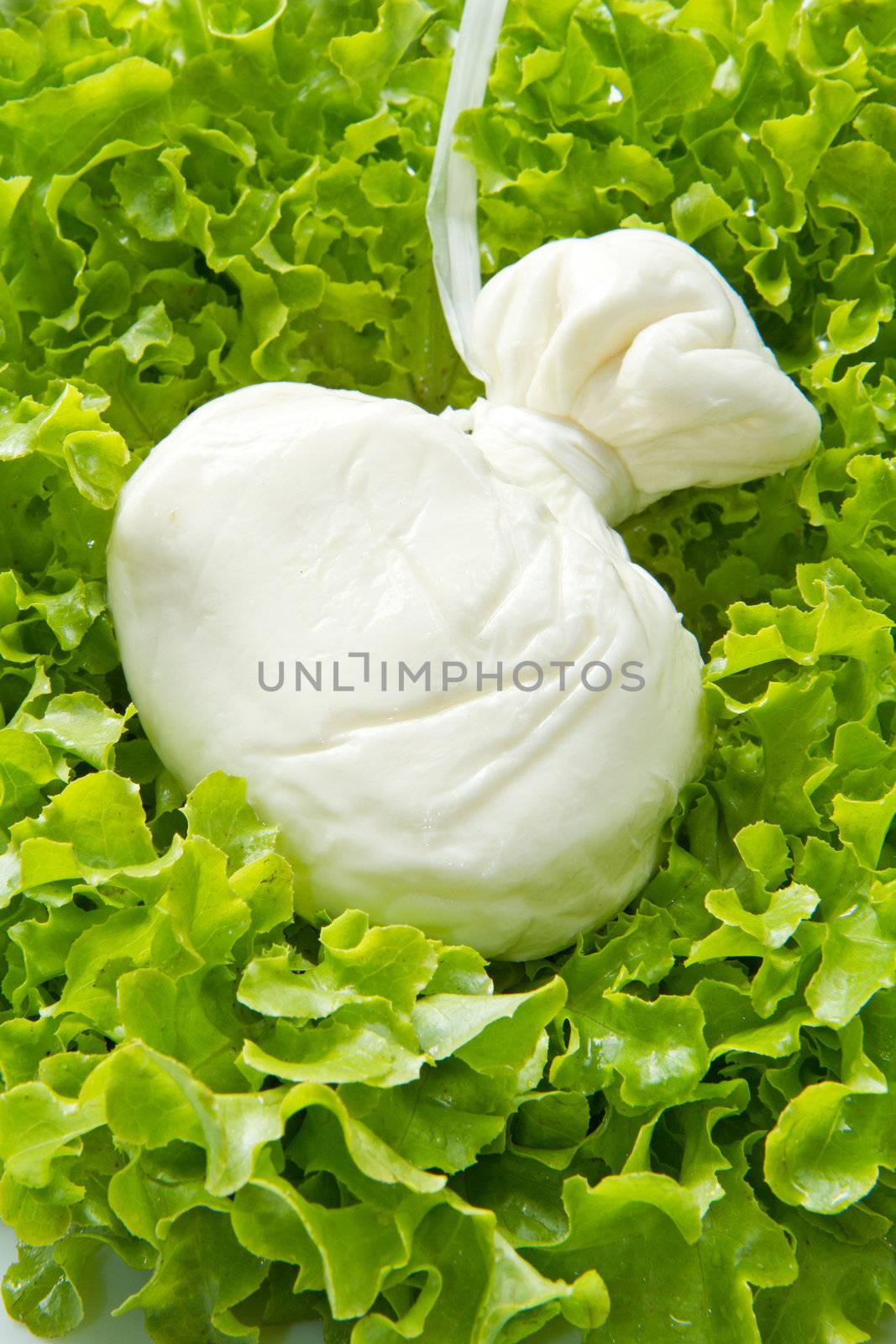 Burrata on salad