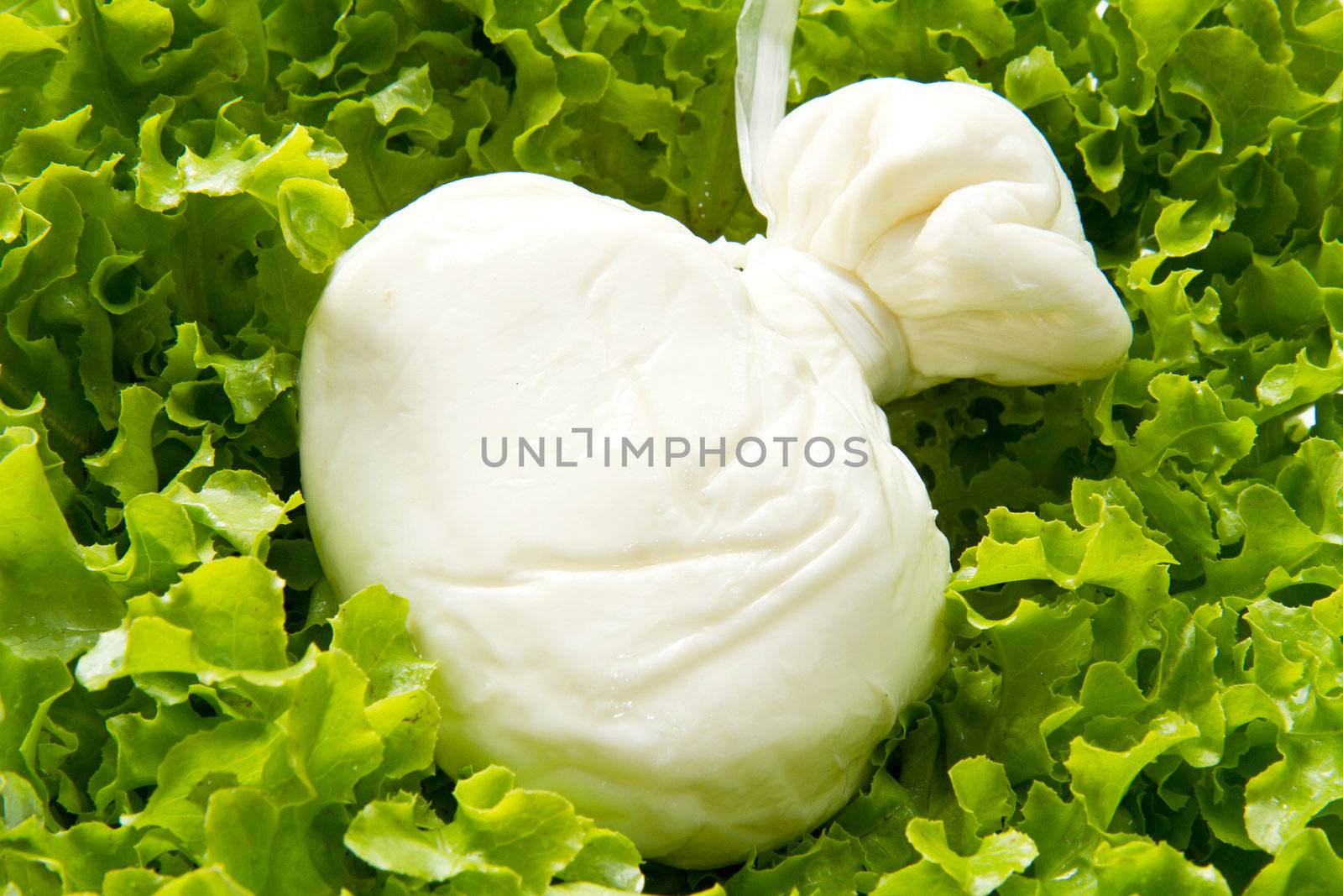 Burrata on salad