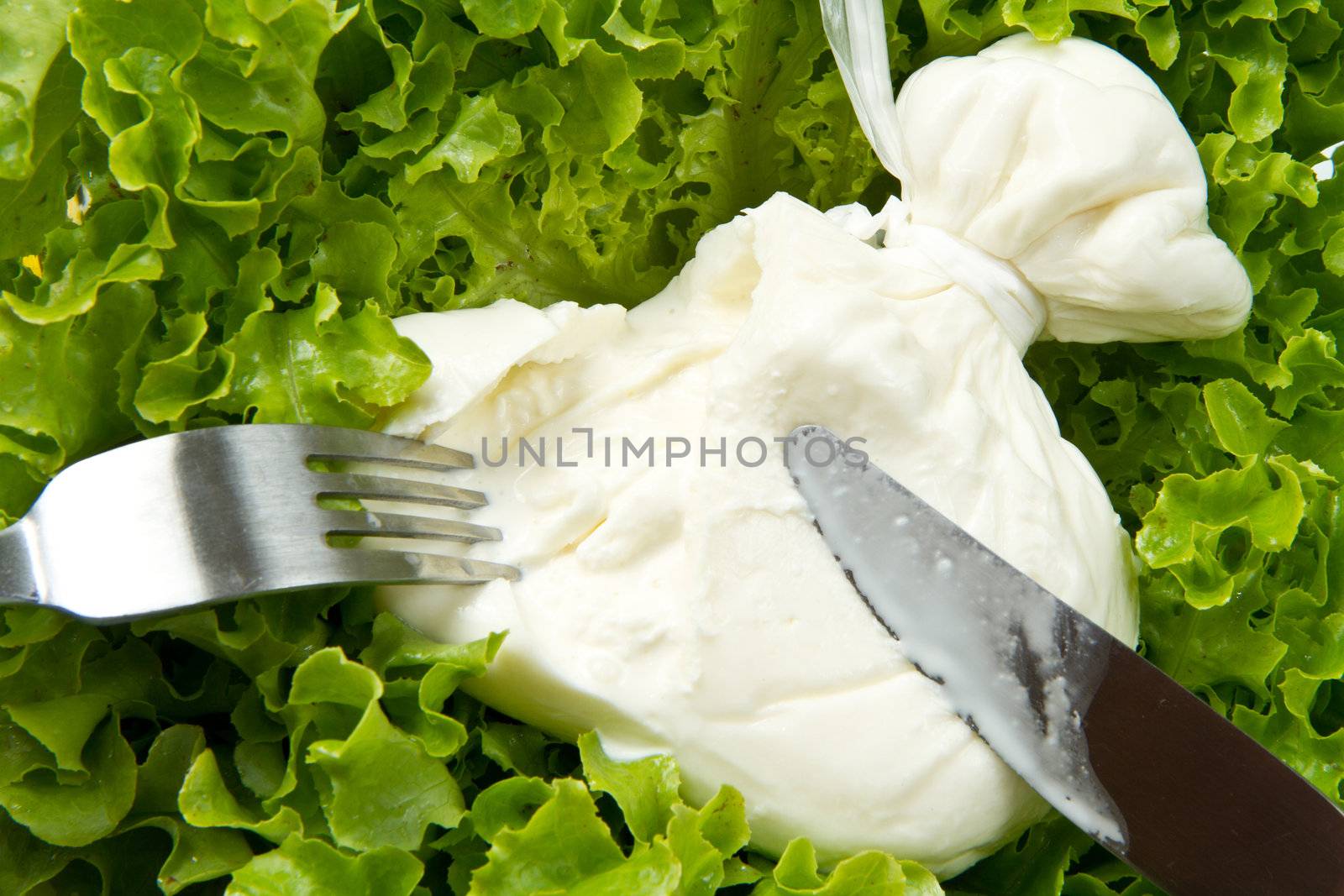 Burrata on salad