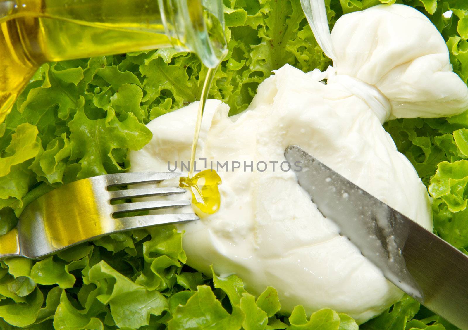 Burrata on salad