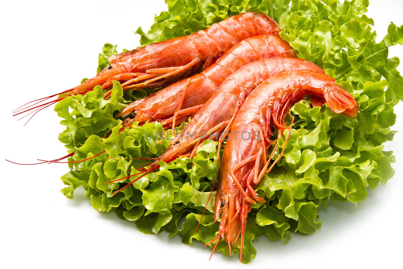 prawns on fresh salad