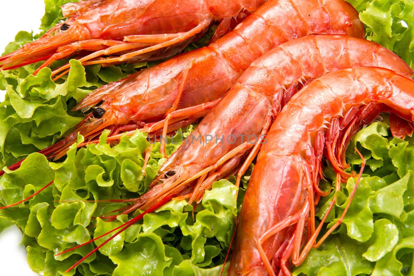 prawns on fresh salad